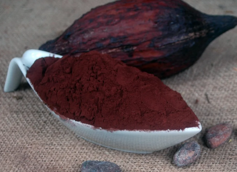 Cacao en polvo aceite 20-22% 1 Kg