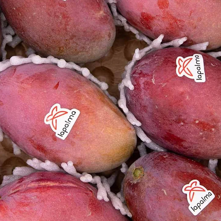 Mango Osteen 4kg La Parcela Origen España Andalucía Costa Tropical