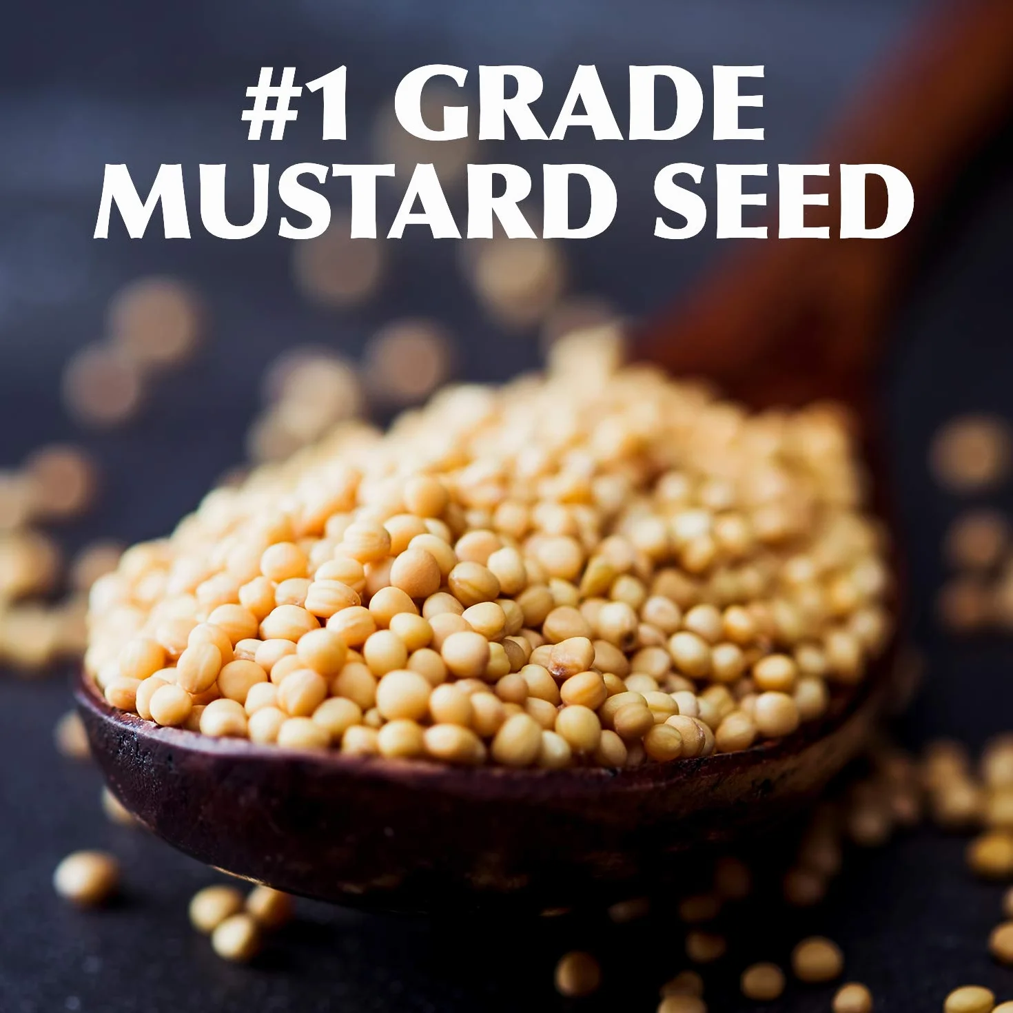Gulden's Spicy Brown Mustard-24 oz, 2 ct