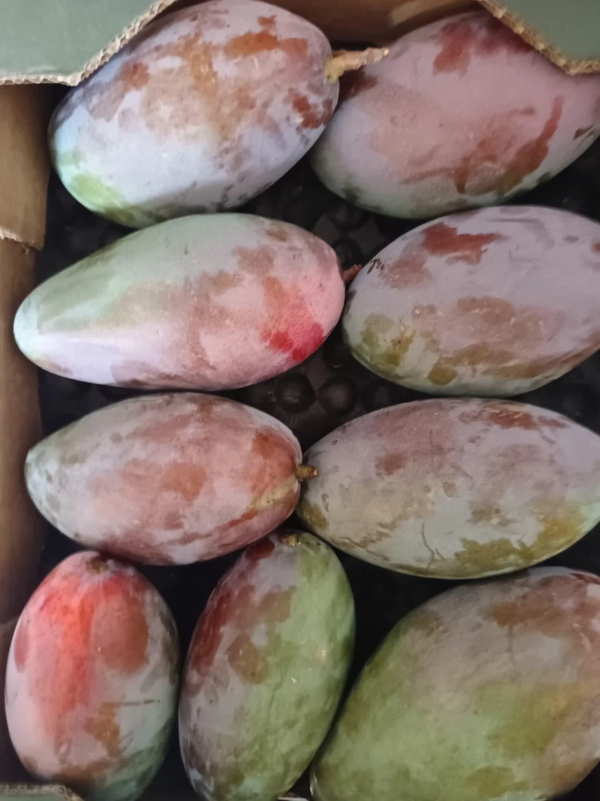 Vitalem Caja de Mangos 2.5kg Cultivo Local Axarquía Málaga Fruta Fresca Temporada Directo Agricultor Natural Sostenible