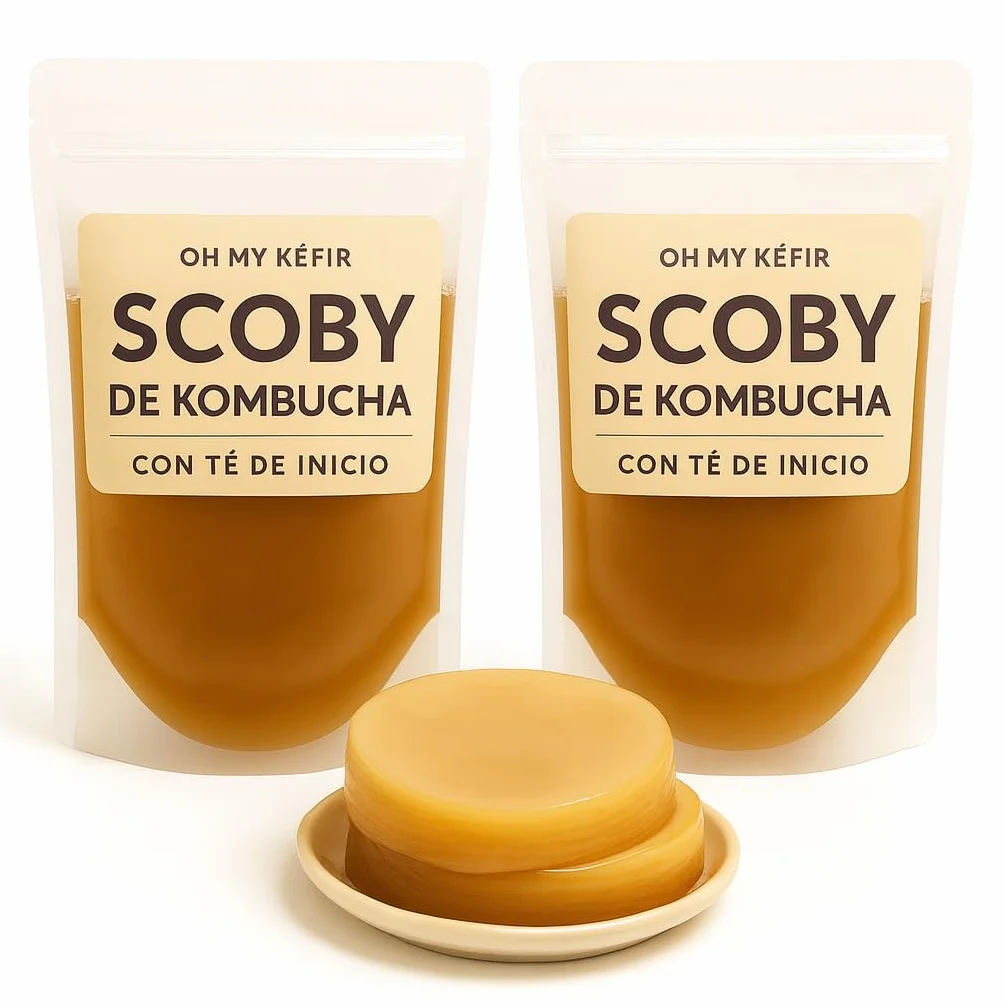 Pack 2X Disco SCOBY Kombucha Fresco + Instrucciones + Recetas + Ayuda y Asesoramiento en español - OH MY KÉFIR