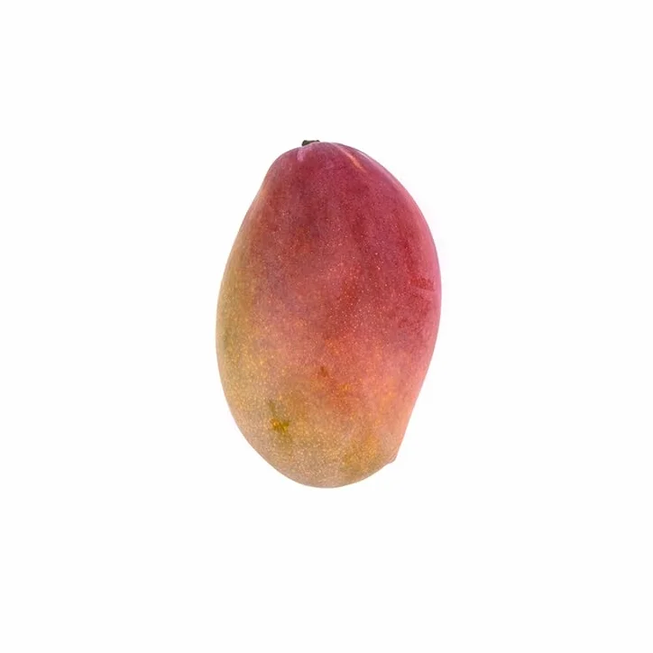 Mango Osteen 4kg La Parcela Origen España Andalucía Costa Tropical