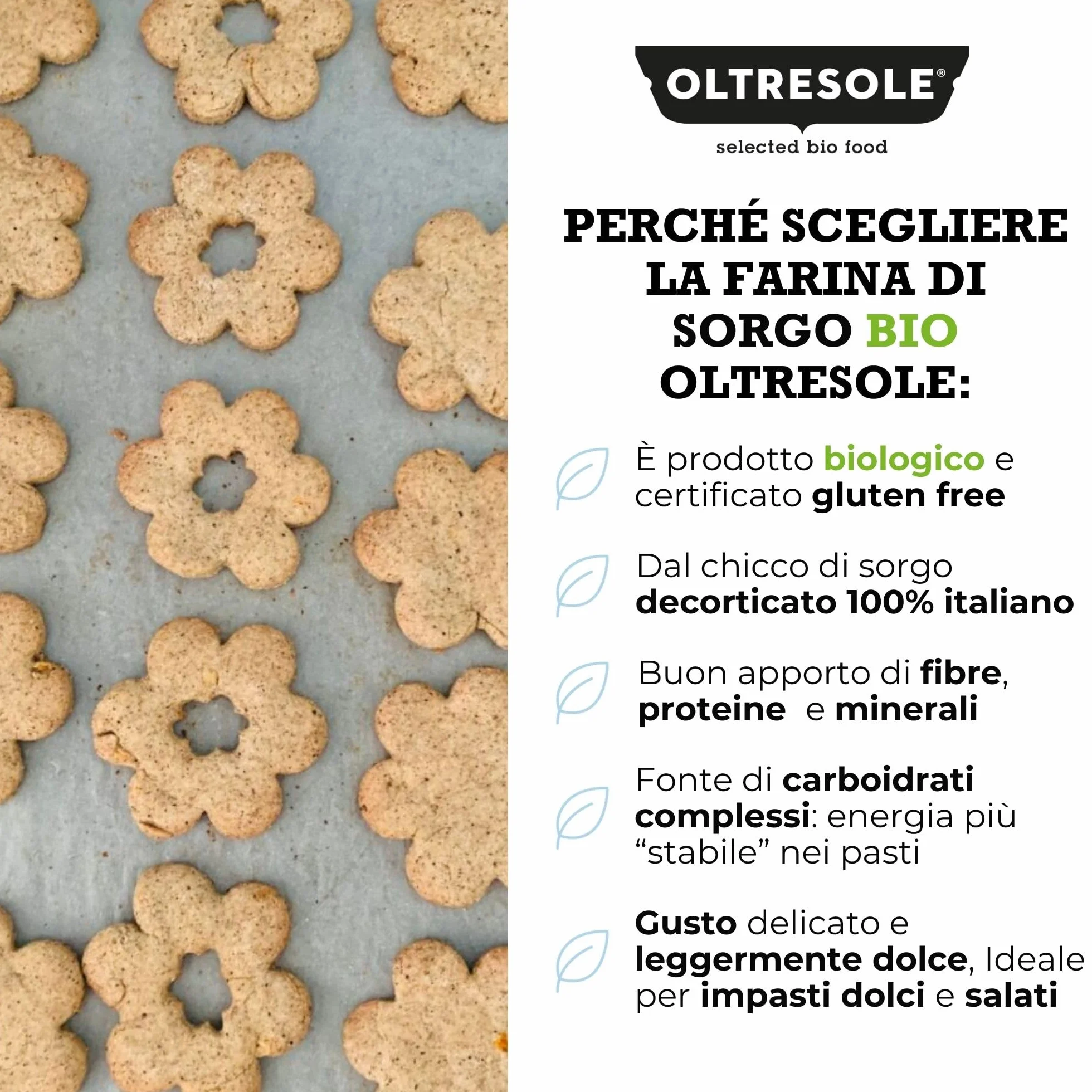 Oltresole, Harina de Sorgo Italiana Ecológica 1 Kg, Sin Gluten, Sin OGM, 100% Made in Italy, Ideal para Celíacos, Pan, Dulces y Pasta, Rica en Fibra y Proteínas
