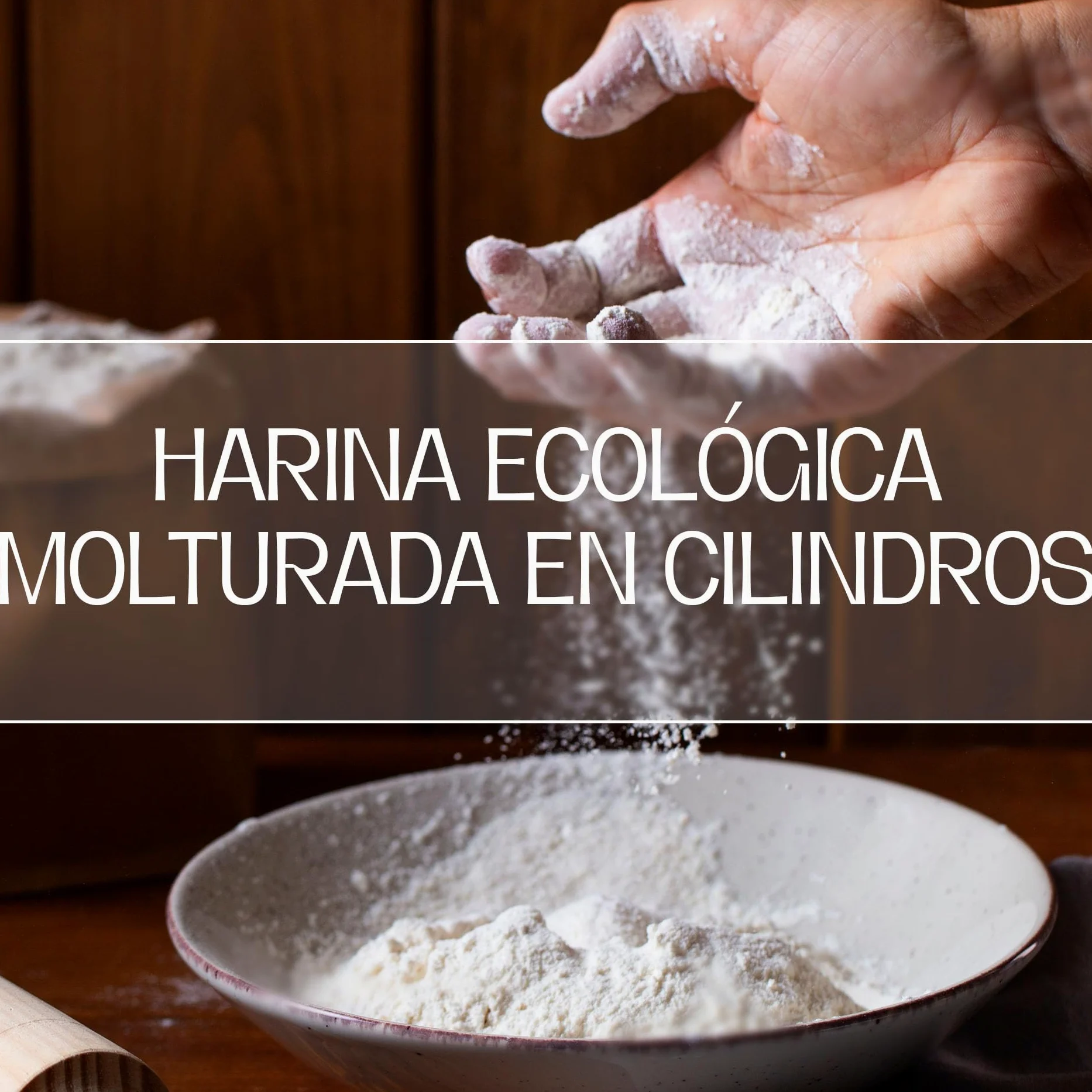 Harina De Trigo Ecológica Blanca W130 | Selección de Trigos Ecológicos y Molturados en Cilindros, con Todo el Germen del Trigo | Aporta Aroma y Sabor | Harina de Fuerza Suave, 25Kg