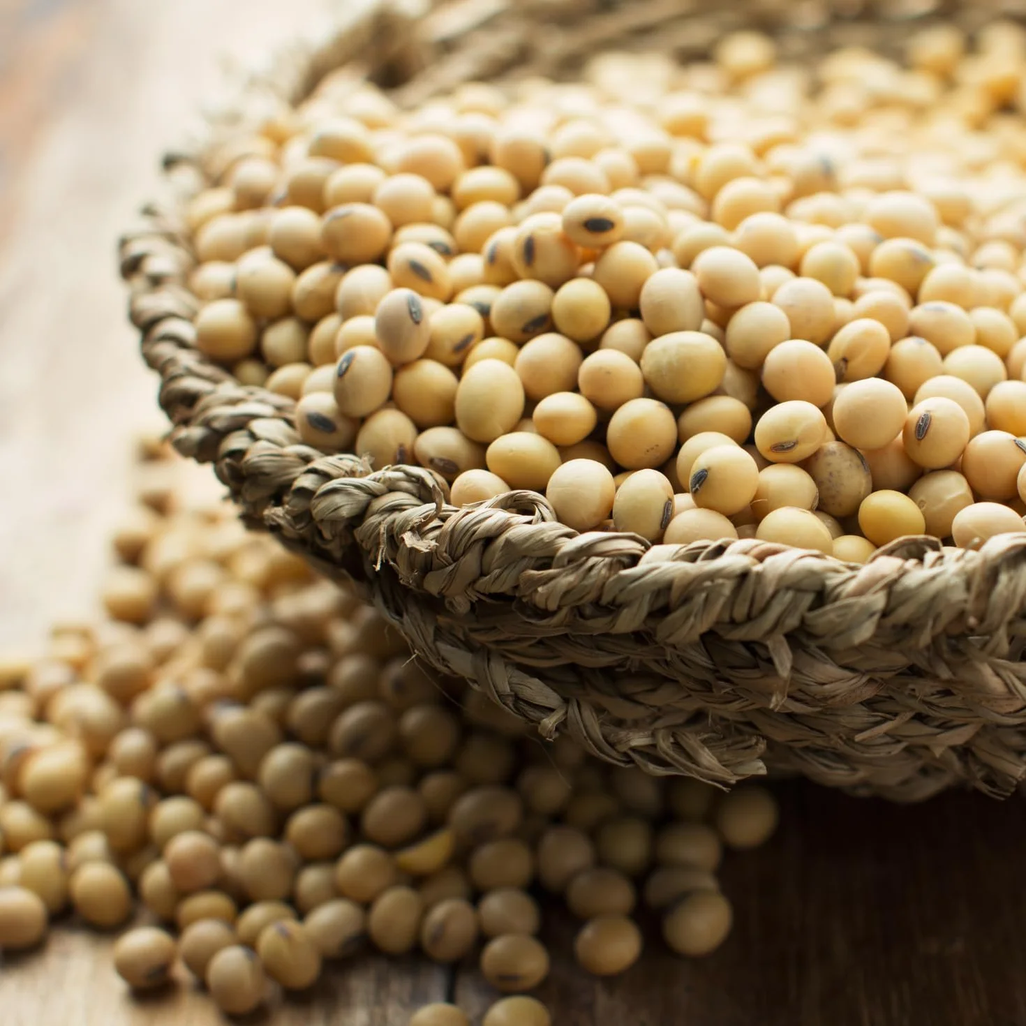 Viet Nam Envase de Soja de 1 x 1 kg 1000 g