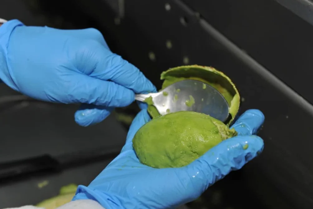 Guacamole tradicional Suave. PACK - 6. Salsa de guacamole Estilo Casero. Elaborado con 05% de aguacate fresco. Ideal para dipear y acompañar.