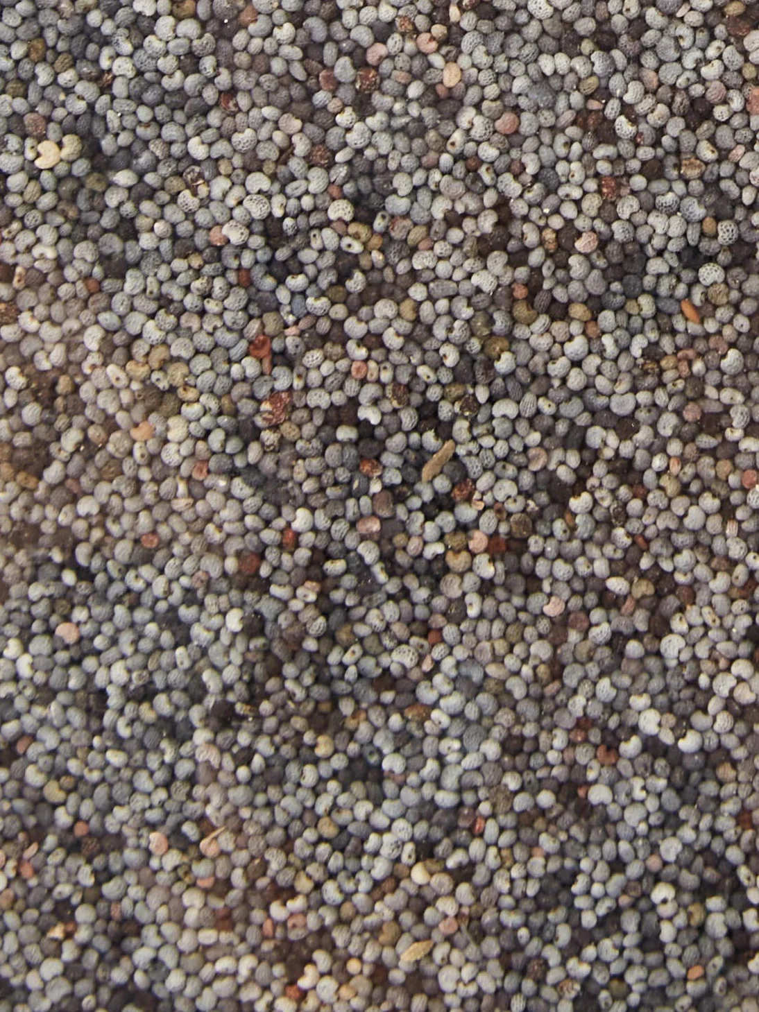 Probios Semillas de amapola 1kg bio