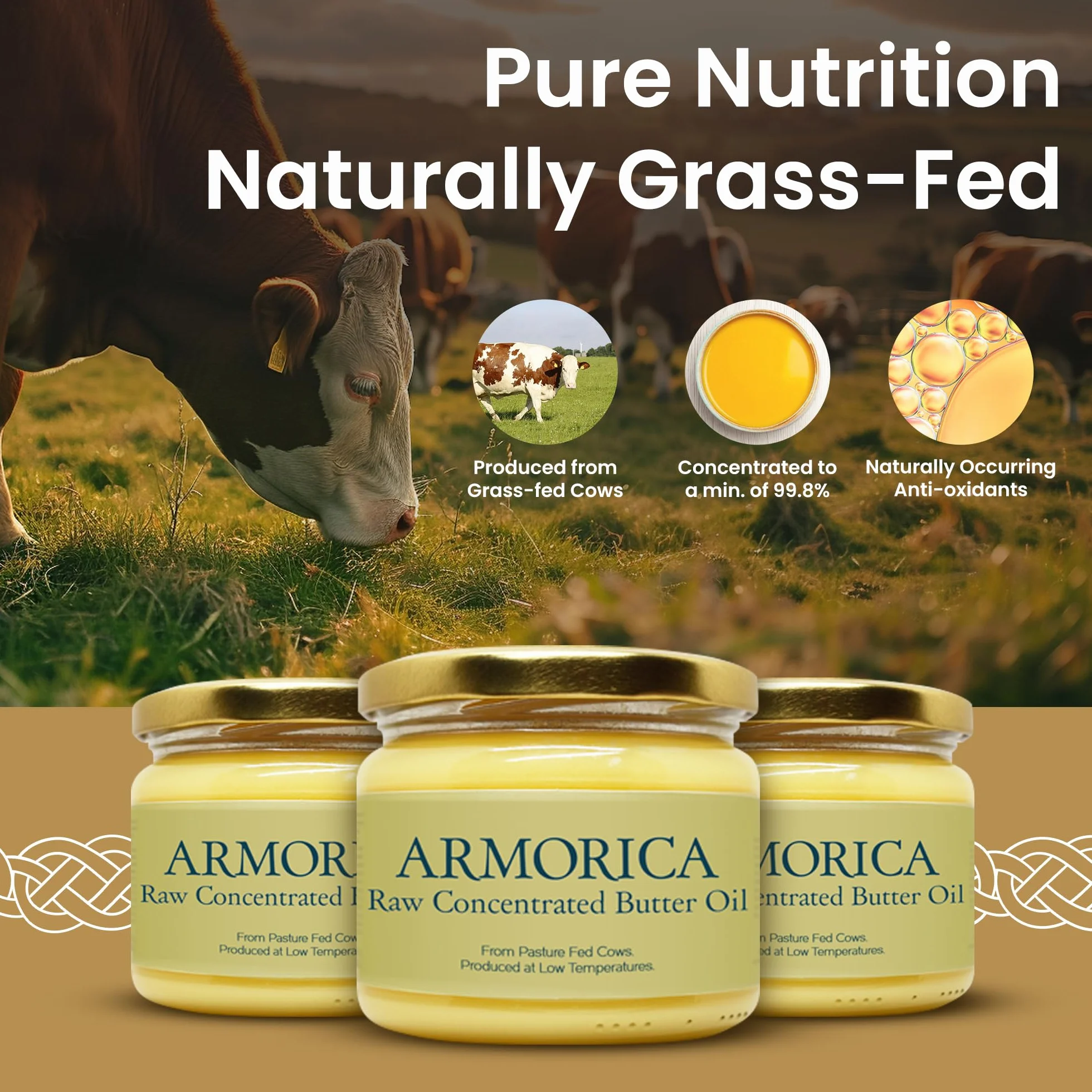 ARMORICA Aceite de mantequilla concentrado 230 g Hecho de leche de vaca alimentada con pasto Fuente de vitaminas solubles en grasa Rico en grasas saludables