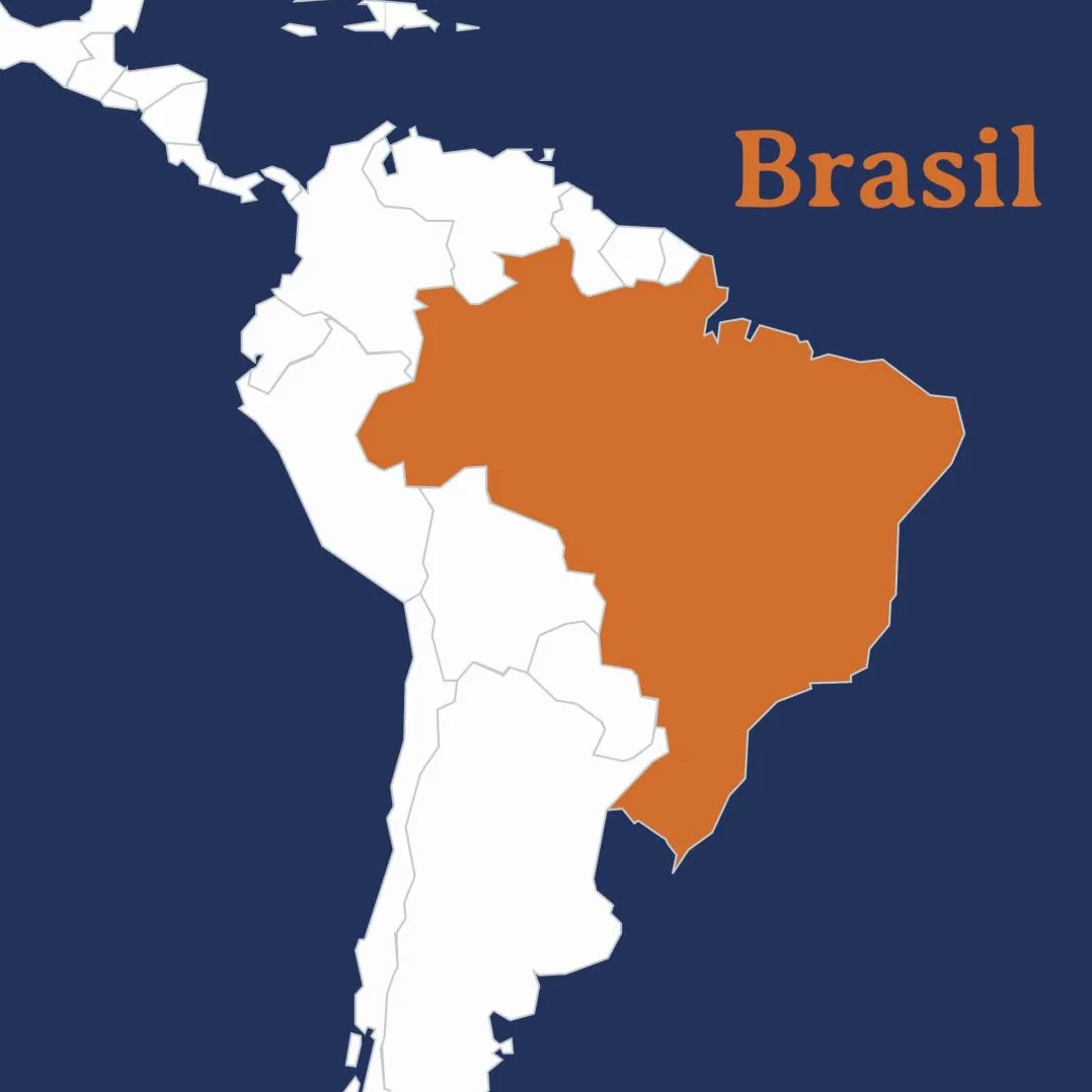 Cafe en Grano Natural de Especialidad 100% Arabica Tueste Natural y Artesanal con Sabor Intenso Acidez Equilibrada para Todas las Cafeteras 250g Gran altitud Origen Brasil - SABROA