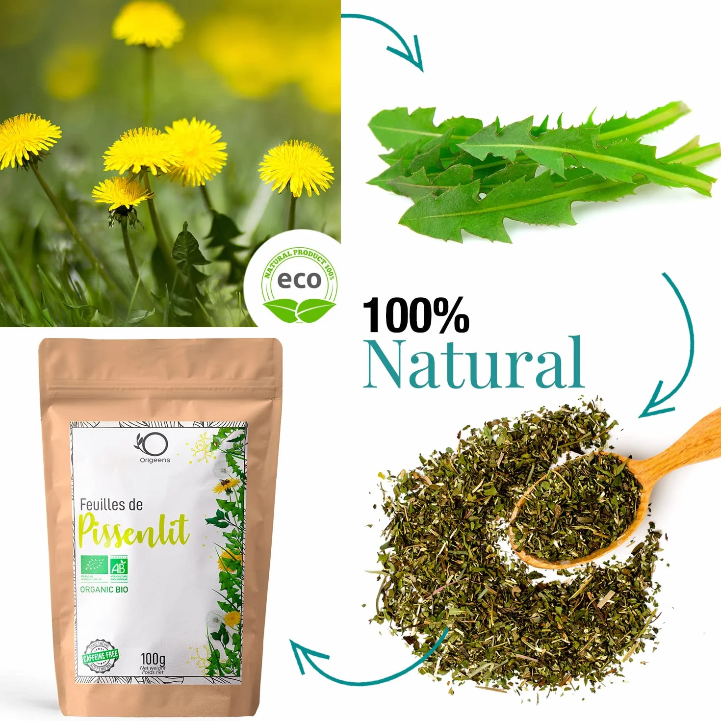ORIGEENS Bio Diente de Leon Infusion 100g - Hojas de diente de leon secas - ​​Infusion drenante y diurética - Dandelion tea