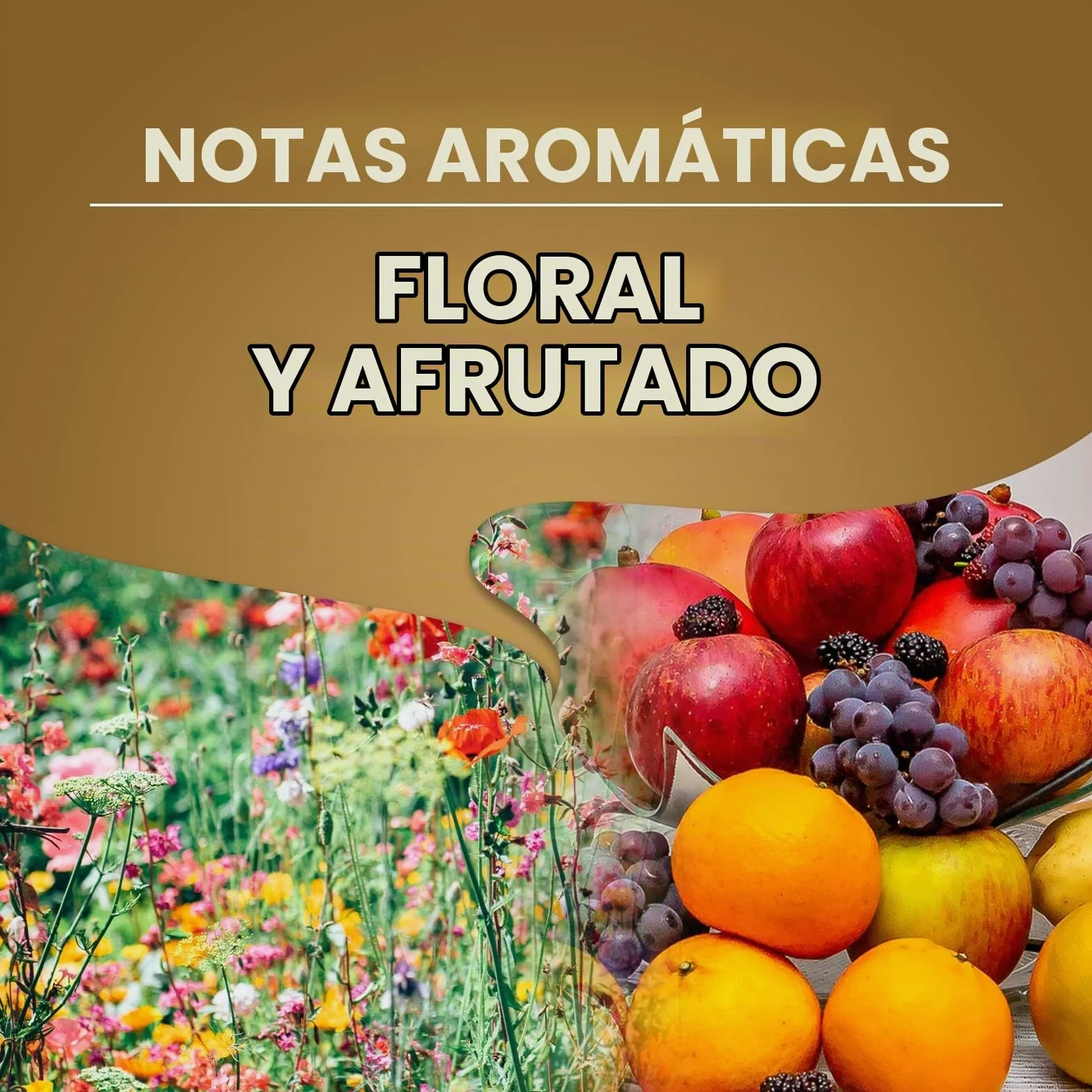 Lavazza, Qualità Oro, Café en Grano Natural, Ideal para la Máquina de Café Espresso, con Notas Aromáticas de Frutas y Flores, 100% Arábica, Intensidad 5, Tueste Medio, Paquete de 2 kg
