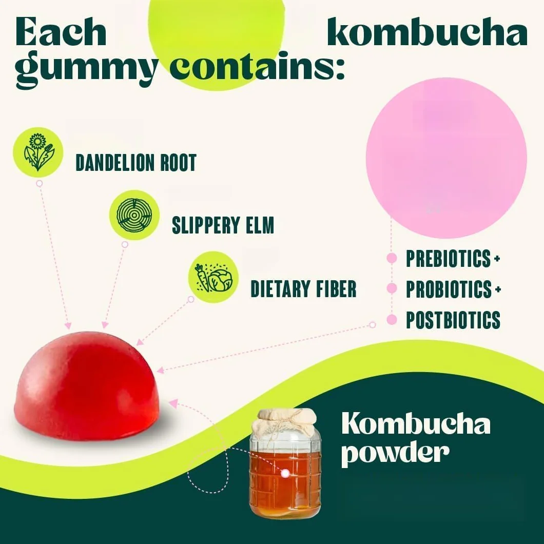 Probióticas de Kombucha con sabor a frutos rojos para salud intestinal