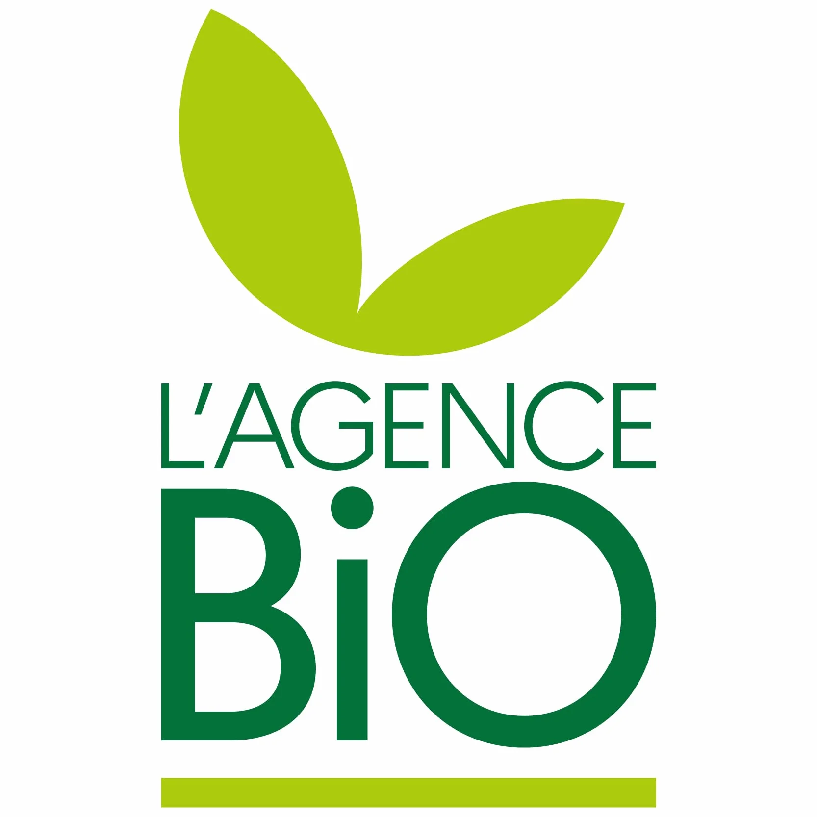 Bio Alga Dulse Copos 2 mm | 50 g de Atlántico Norte | Palmaria palmata es rica en vitamina B12 | ALGALICIOUS Algas irlandesas silvestres y recolectadas manualmente