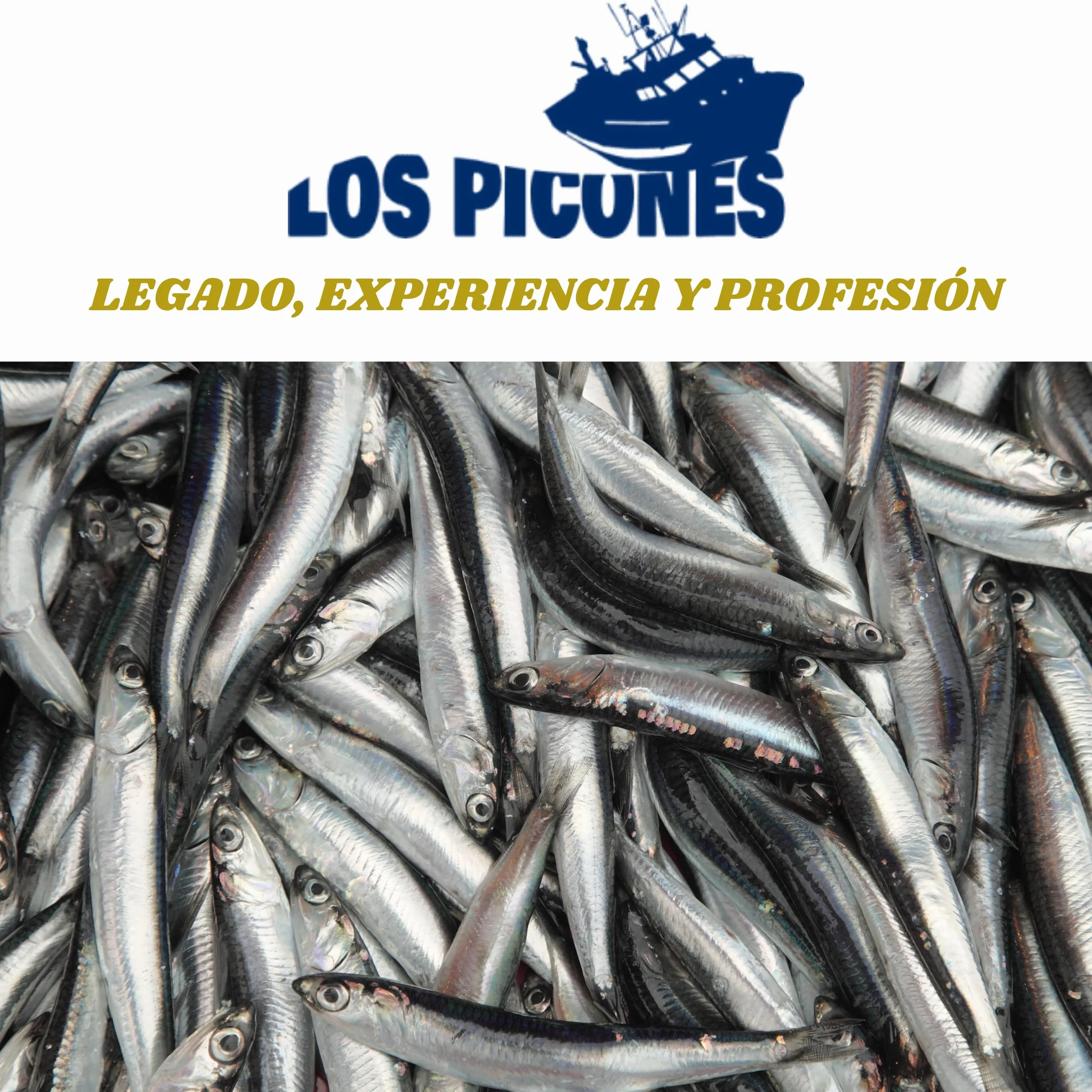 Anchoas Revilla® Anchoas de Santoña en Mantequilla Ecológica I Pack 5 Octavillas (50gr./8-10 lomos) (250gr./40-50 lomos) Anchoas del Cantábrico Gourmet I Conservas y Salazones Gourmet.