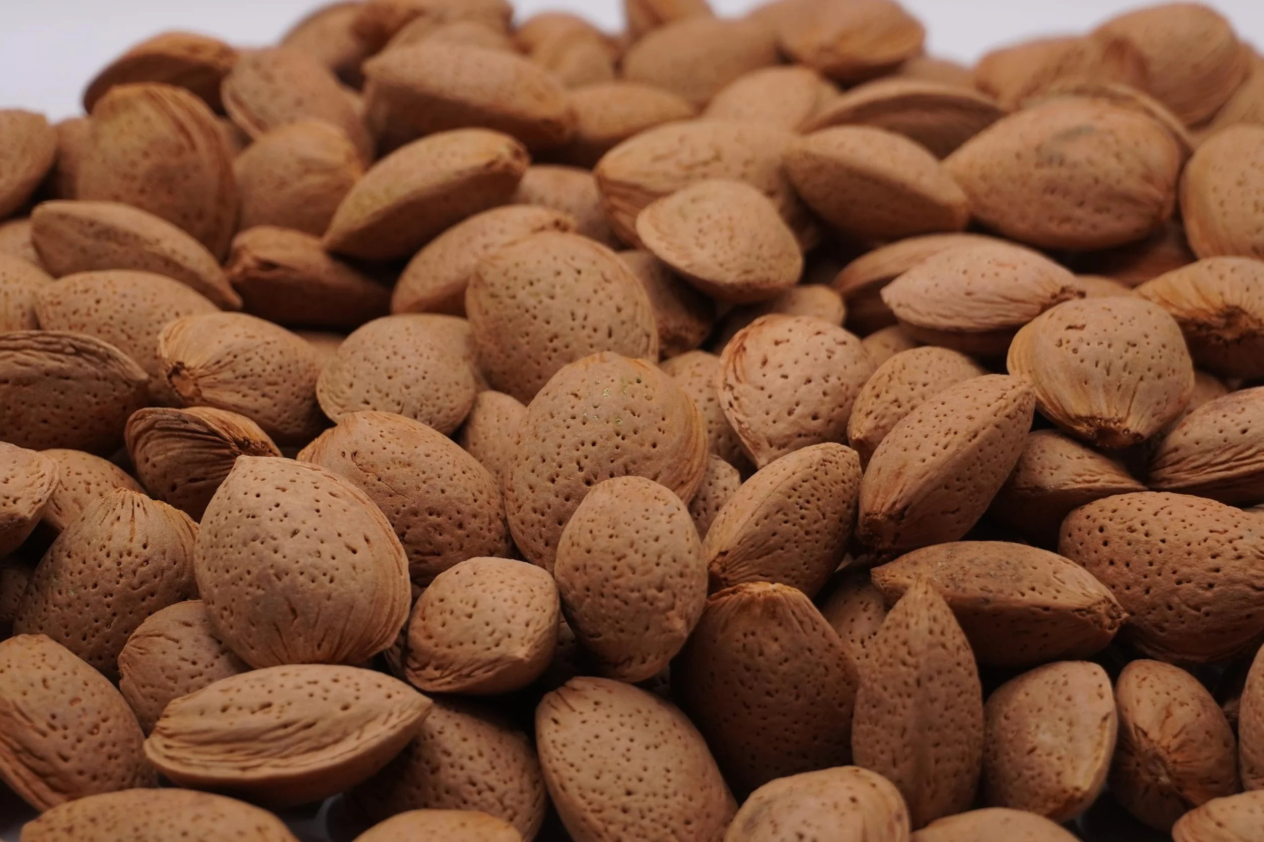 Almendras con Cáscara 2 Kg - Premium Españolas - Fruto Seco Nacional - Sostenibles y 100% Naturales - Made in Spain