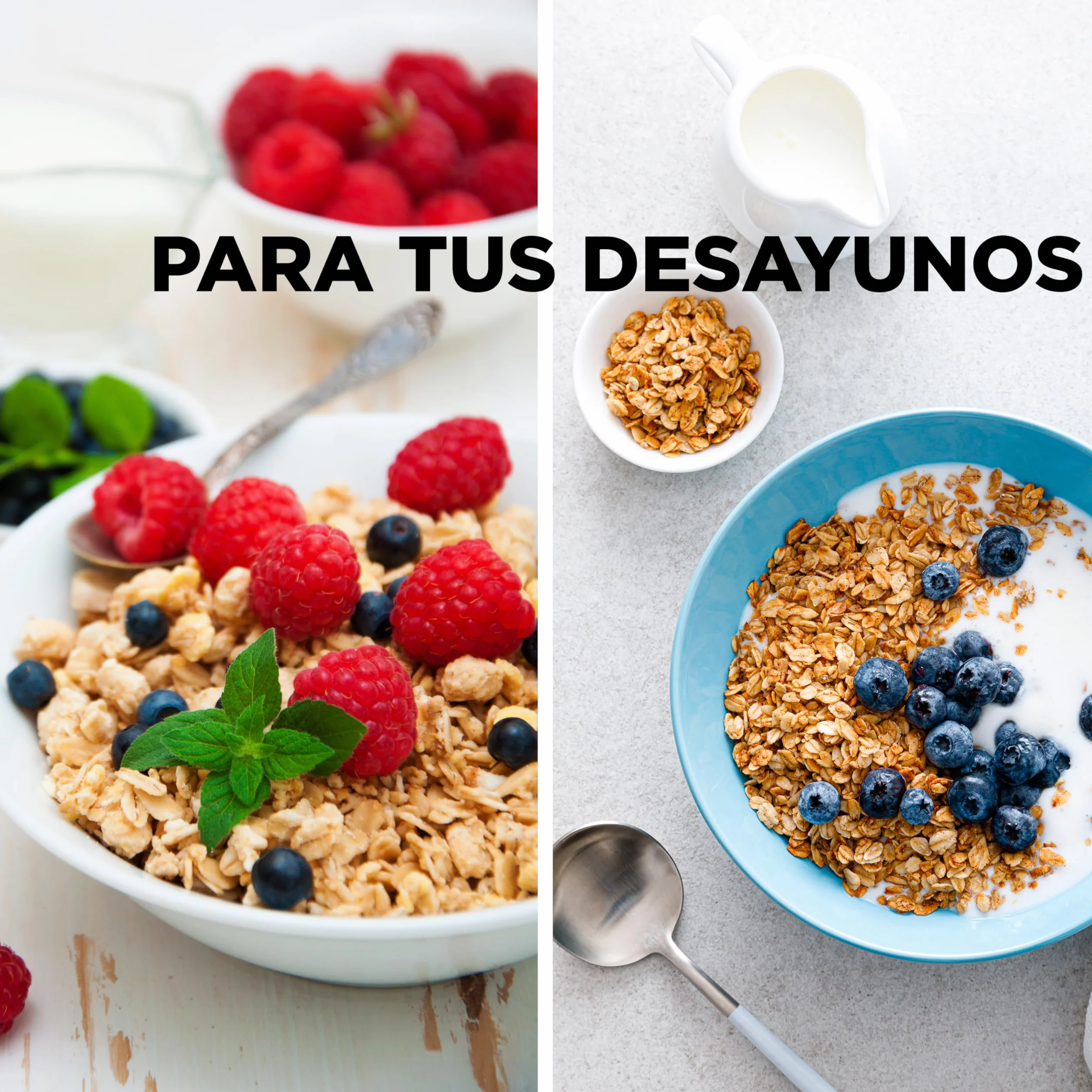 Drasanvi SPORT LIVE Copos de Avena Gruesos Integrales BIO | Fuente natural de proteínas y Vitaminas del grupo B y E | Alto contenido en Fibra | 1kg