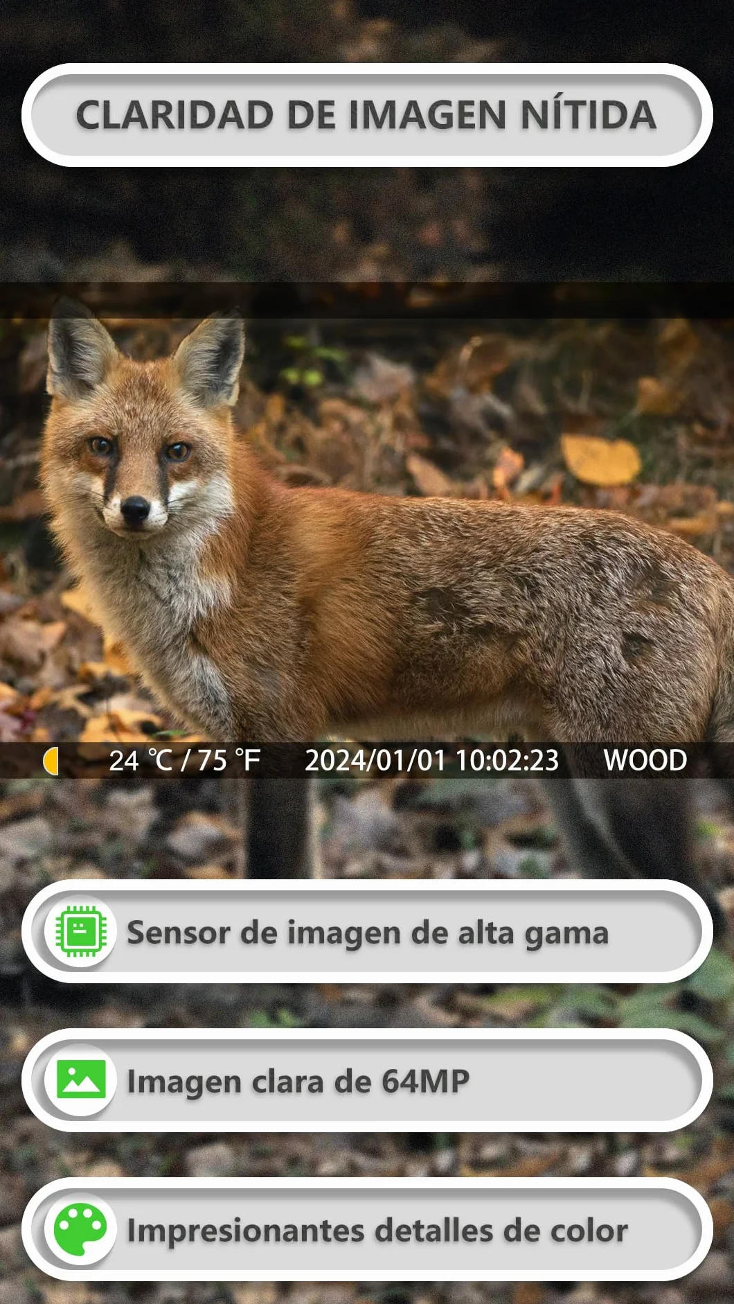 GardePro E8P MAX Cámara de Caza WiFi 64MP 1296P Batería Recargable 8000mAh Visión Nocturna