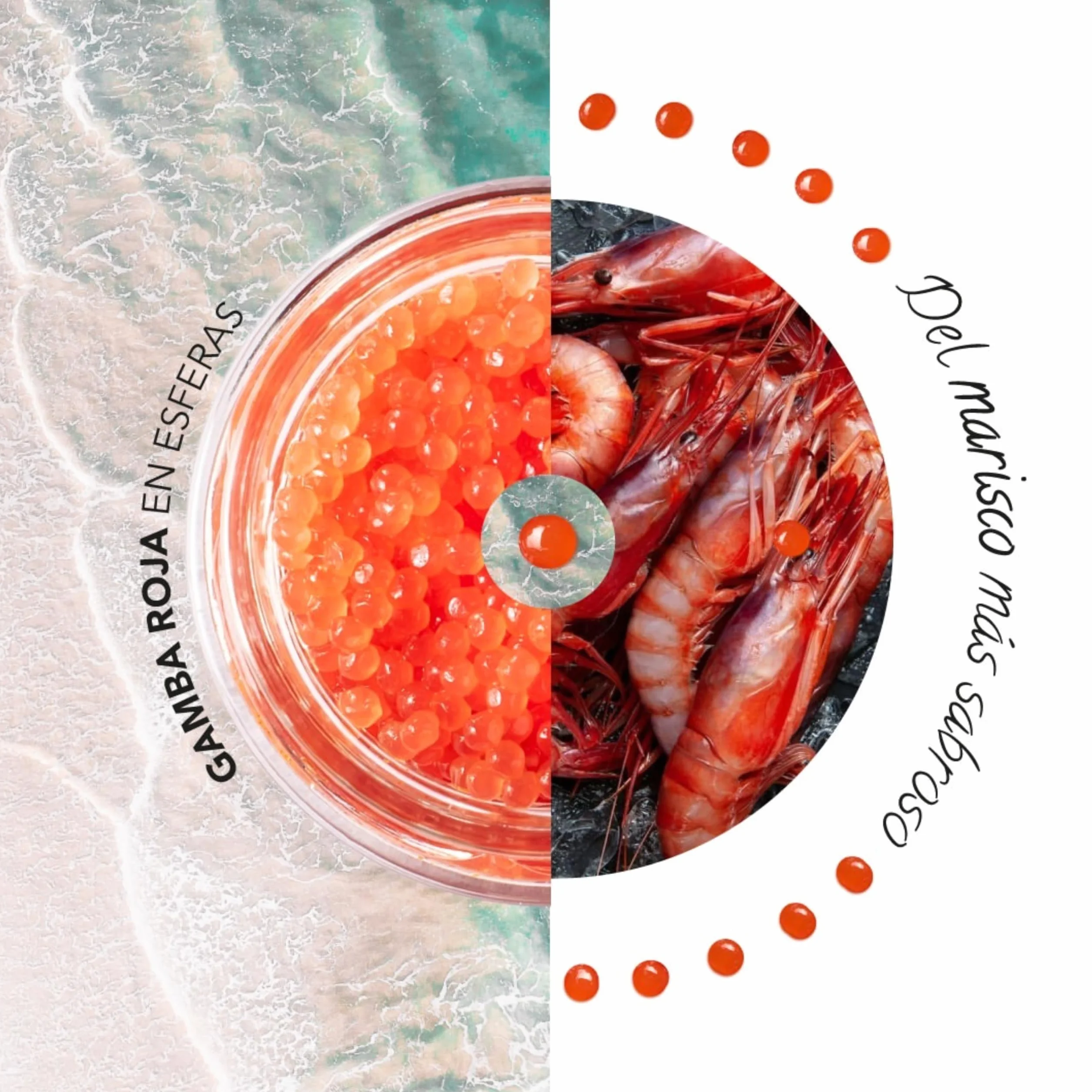 GAMBA ROJA EN ESFERAS, 100g