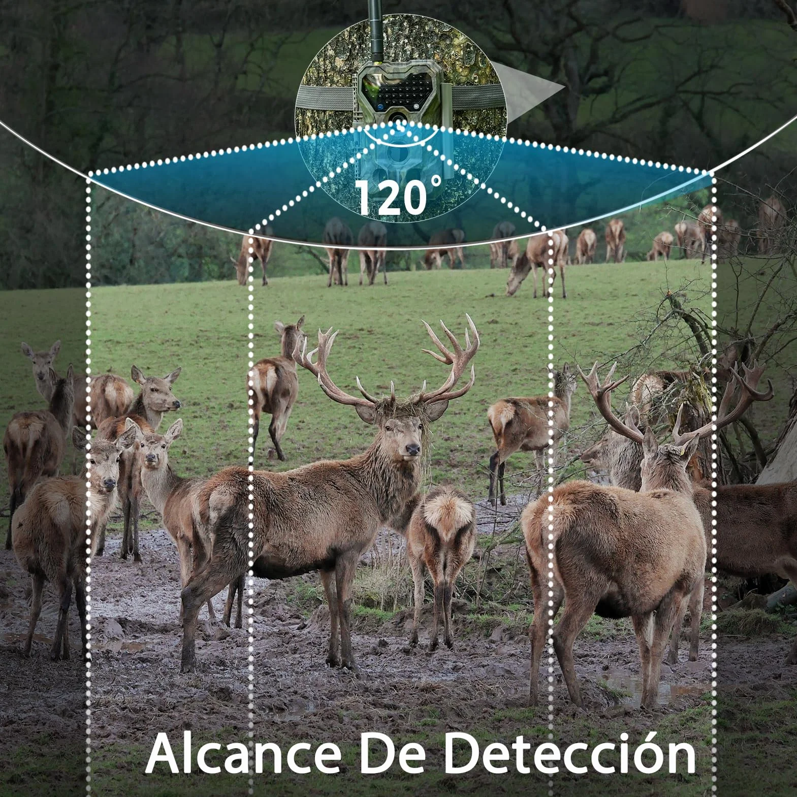 Meidase P300 Cámara de Caza WiFi Bluetooth 50m Alcance 64MP 1296p Visión Nocturna IP66 Impermeable