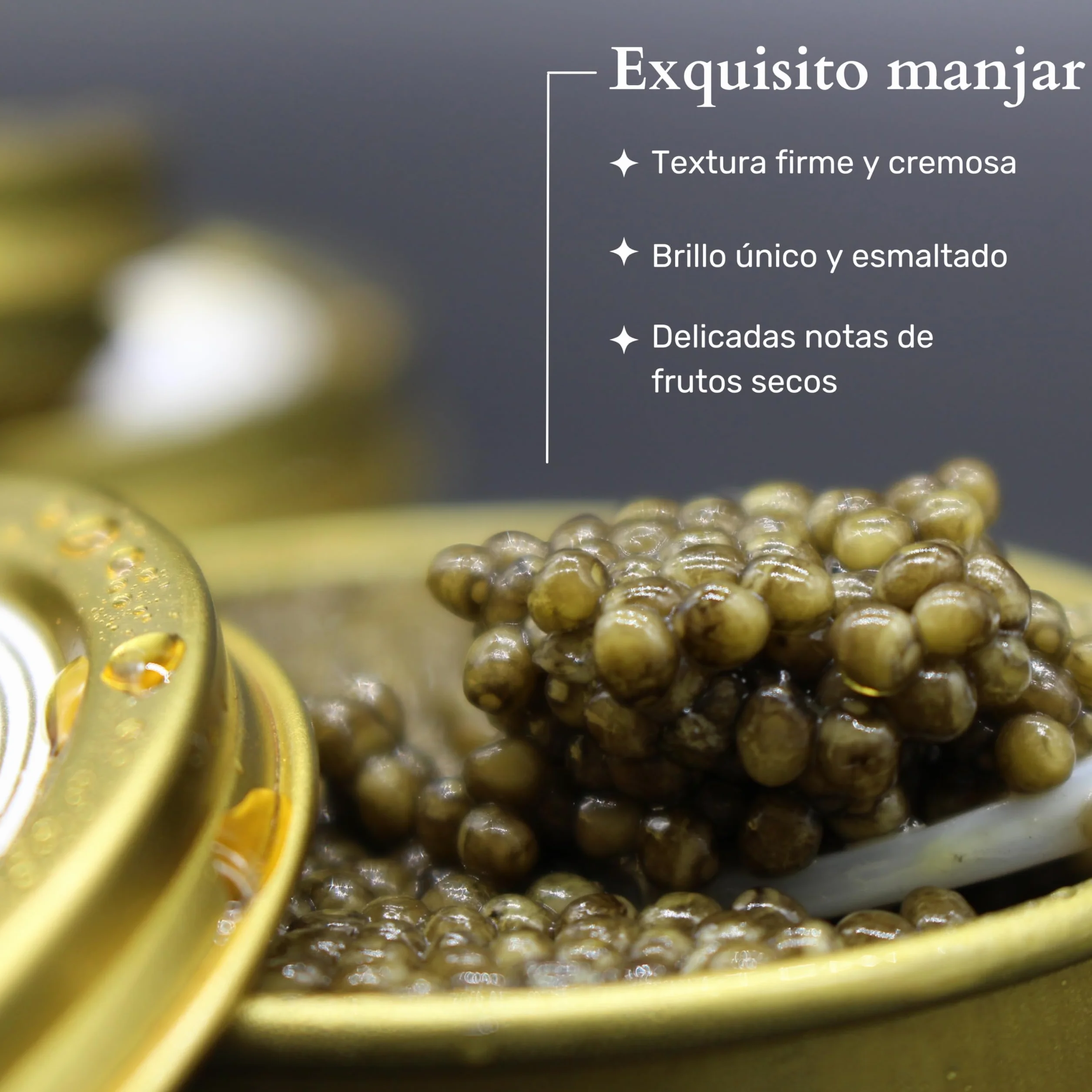 Caviar del Tíbet – Caviar Oscietra 100 GR – Caviar de Esturión Ascipenser Gueldenstaedtii – Huevas de Caviar – Caviar Gourmet