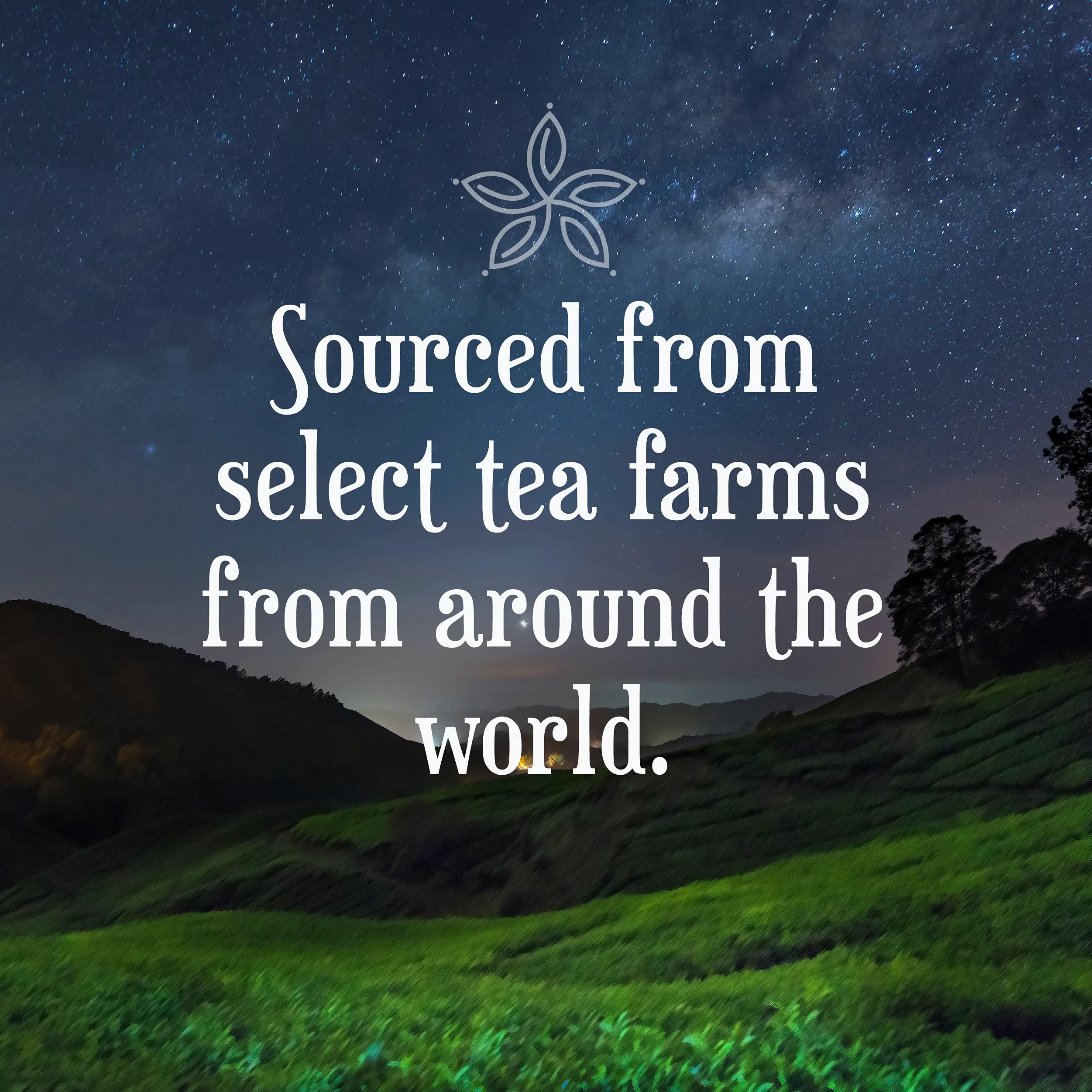 Constellation Tea Cápsulas de té negro Spiced Chai compatibles con cafeteras K Cup incluyendo 2.0, 40 unidades