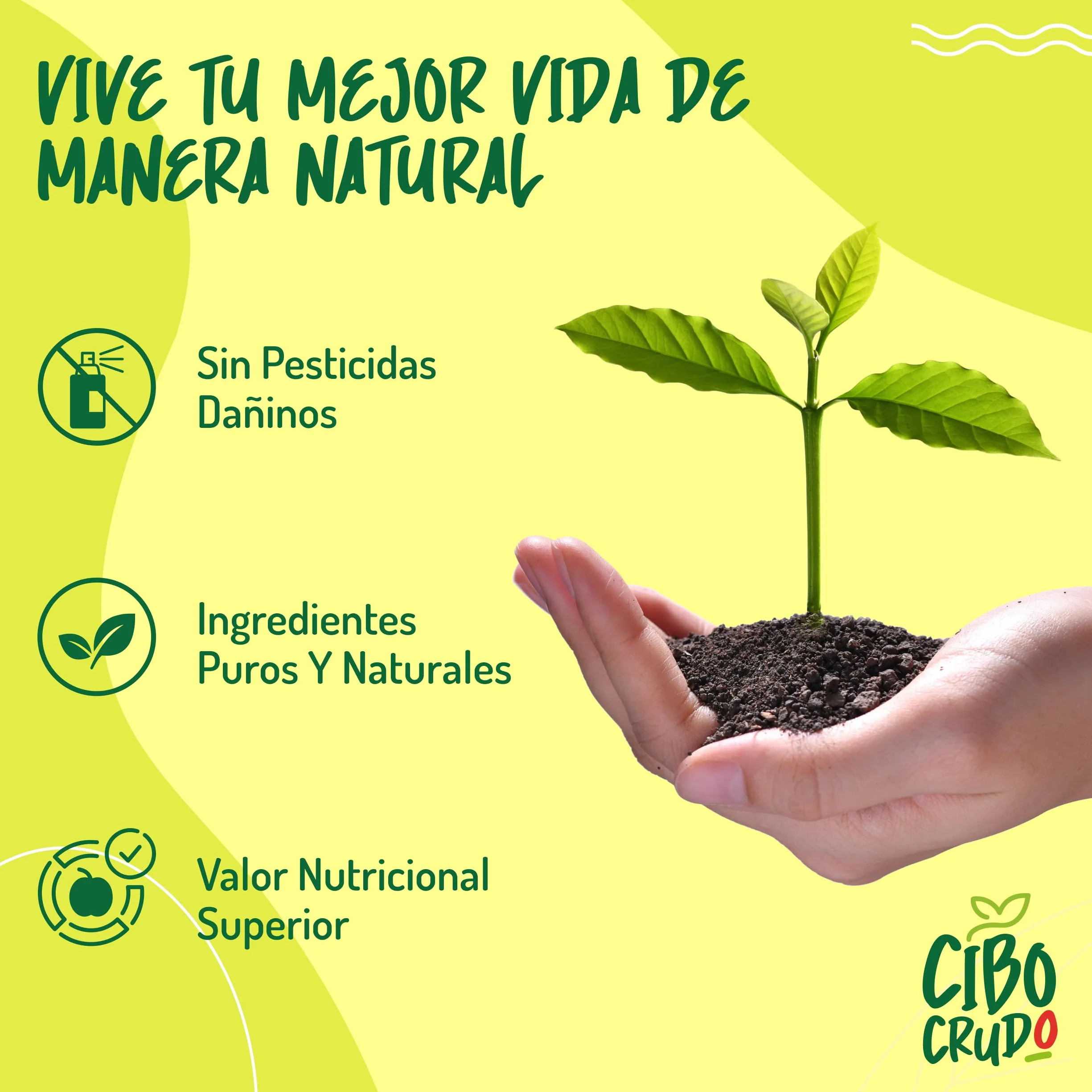 Aceite de Aguacate para Cocinar Orgánico - 500ml. Aceite Aguacate Orgánico 100% Puro y Sin Refinar. Aceite de Aguacate Orgánico Prensado en Frío. Ideal para Cocinar, Condimentar y Marinar. Avocado Oil
