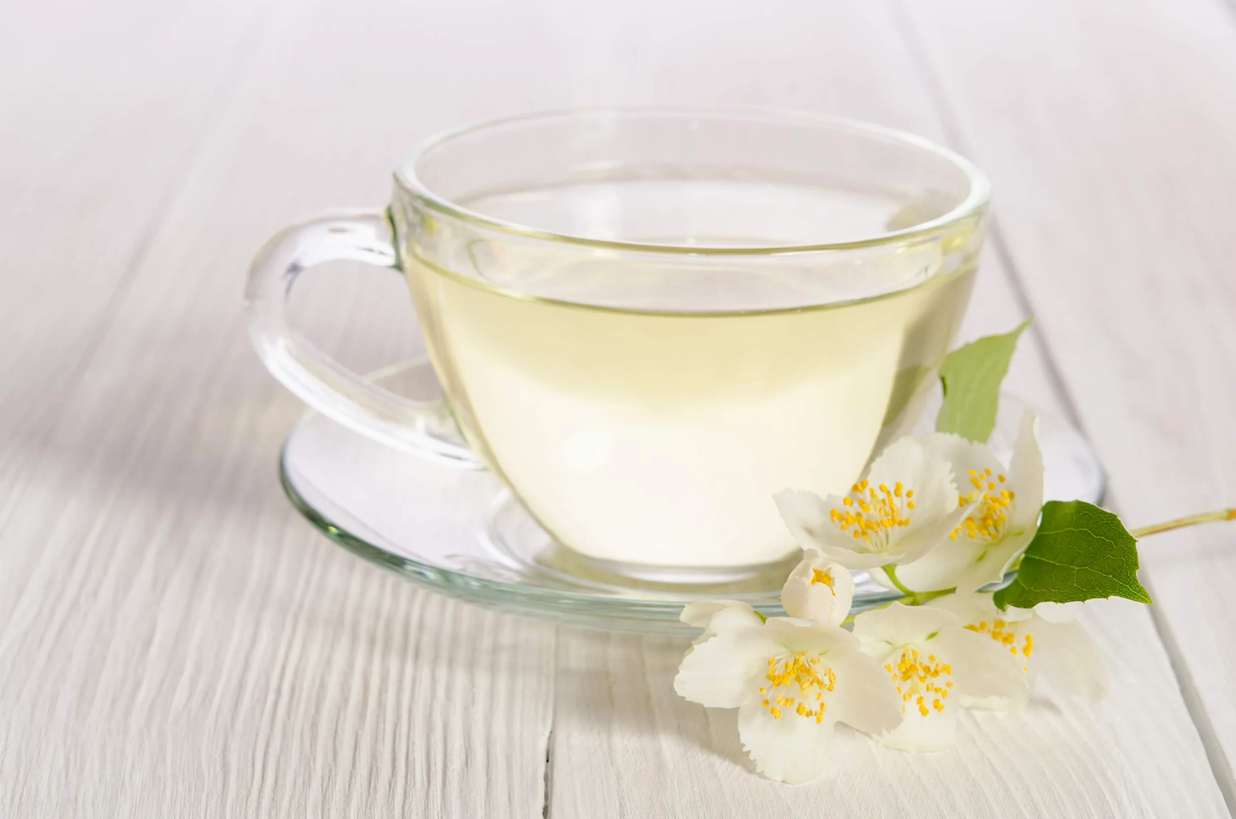 Prospect Tea White Bengala Darjeeling - Cápsulas de té compatibles con cafeteras K Cup incluyendo 2.0, 40 unidades