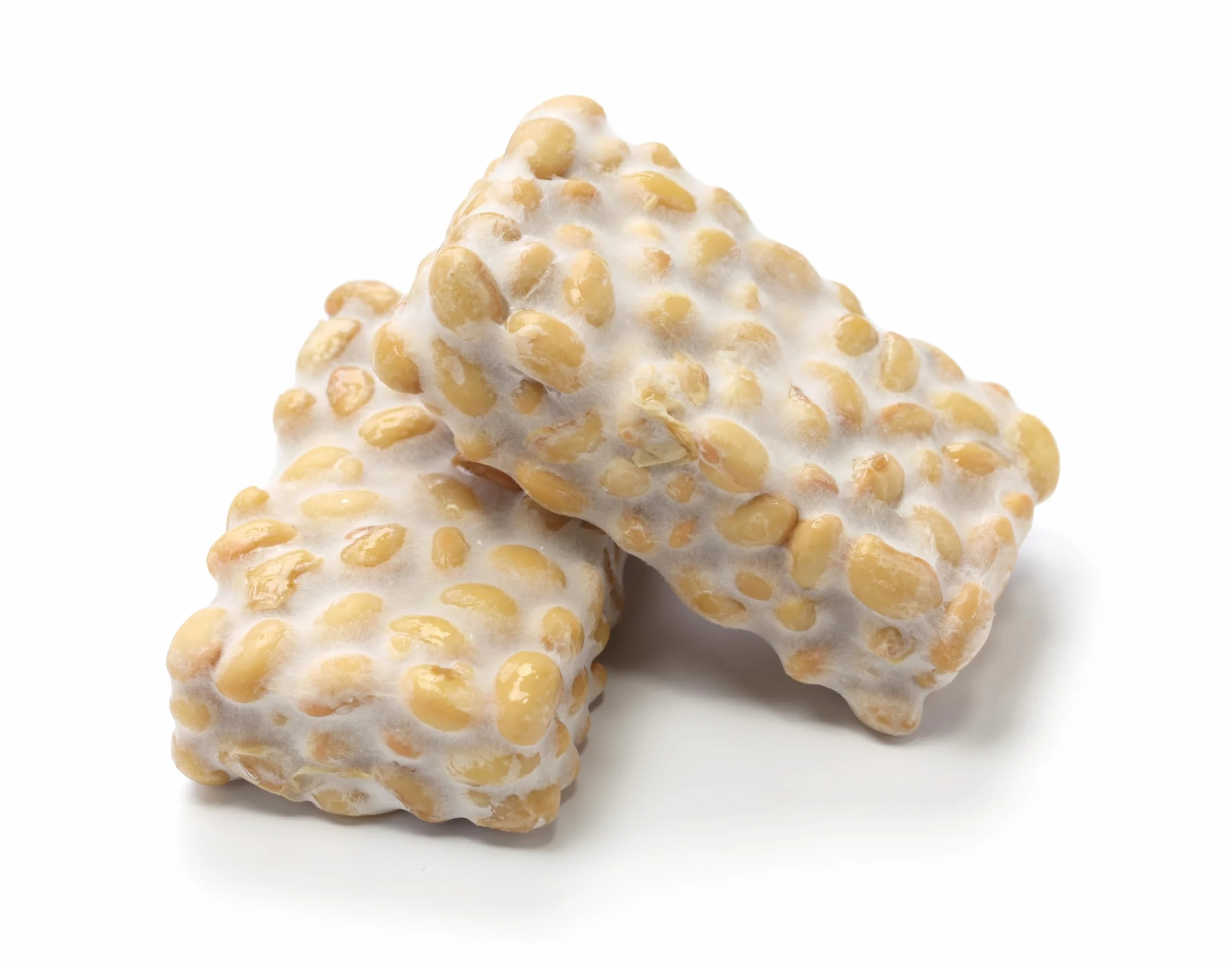 Tempeh - Cultivo iniciador con esporas de Rhizopus - Prepara un delicioso tempeh en casa, Tempeh Rhizopus rico en proteínas (Rhizopus oligosporus) - Peso neto: 19,8 g. Carne vegetal casera. Sin gluten
