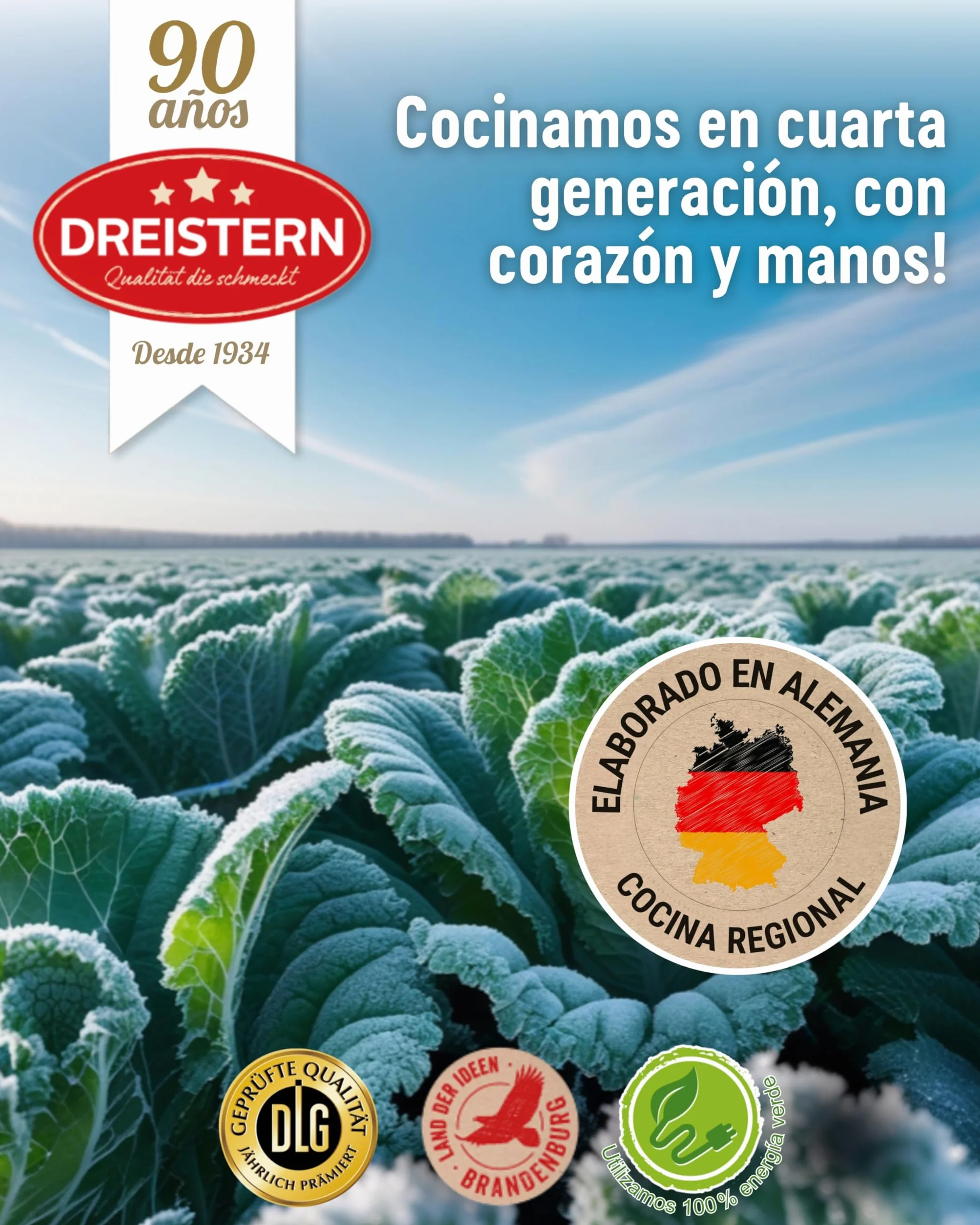 DREISTERN Sopa de Gulash Picante 400 g I Con carne de res tierna & verduras I Guiso picante en lata reciclable I Larga duración gracias a la conservación natural I Calidad casera