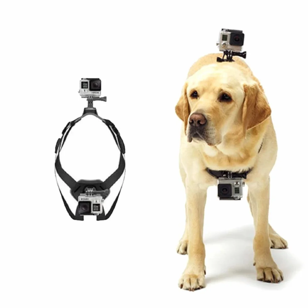 Arnés para Perros Gopro, Ajustable para Grandes, Medianos y Pequeños - Fijación en Pecho y Espalda