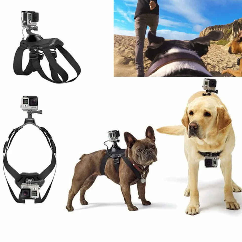 Arnés para Perros Gopro, Ajustable para Grandes, Medianos y Pequeños - Fijación en Pecho y Espalda