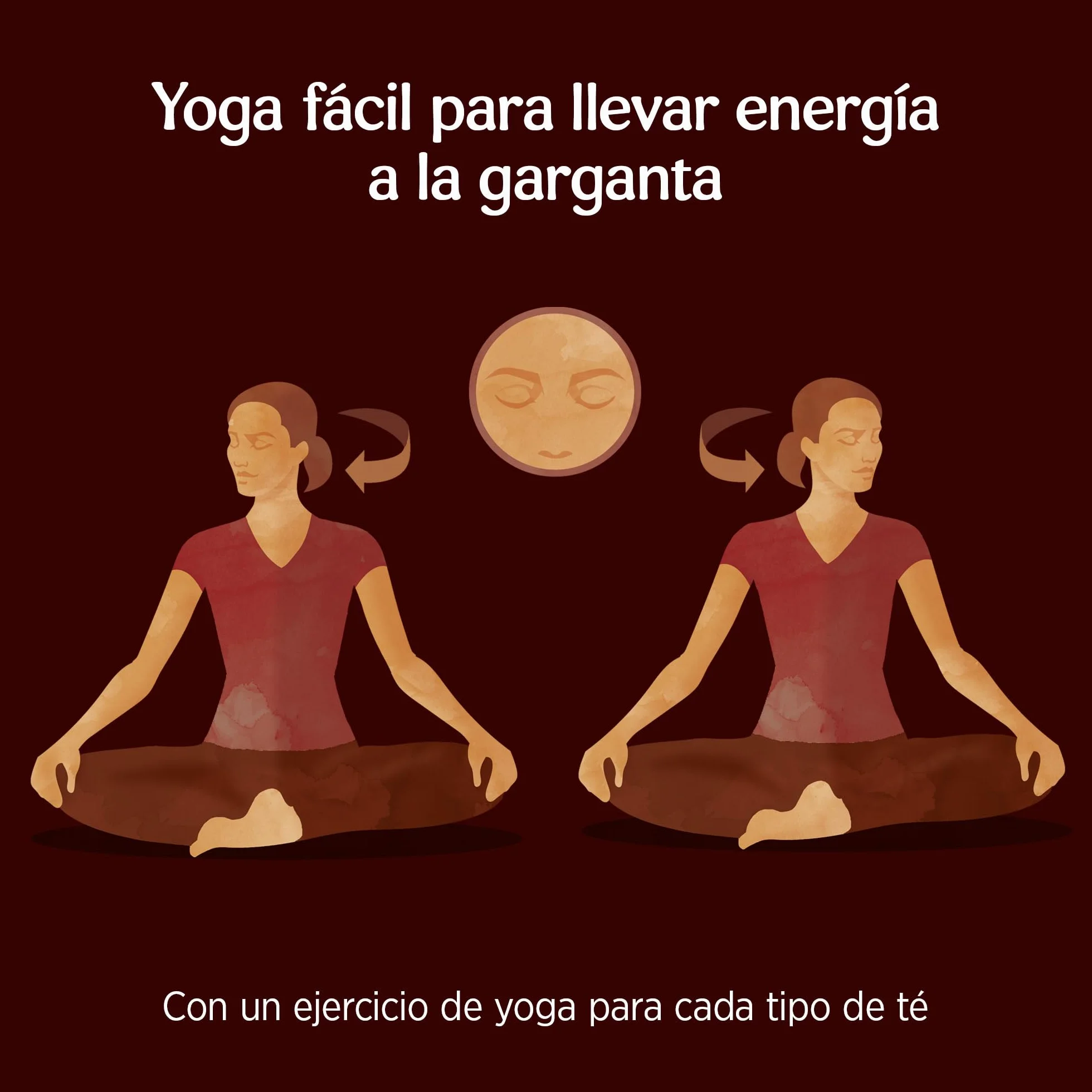 Yogi Tea - Equinácea - Infusión Ayurvédica - Mezcla de Equinácea, Rooibos y Cardamomo - Sin Cafeína - Pack de 3x17 bolsitas (51 bolsitas en total)