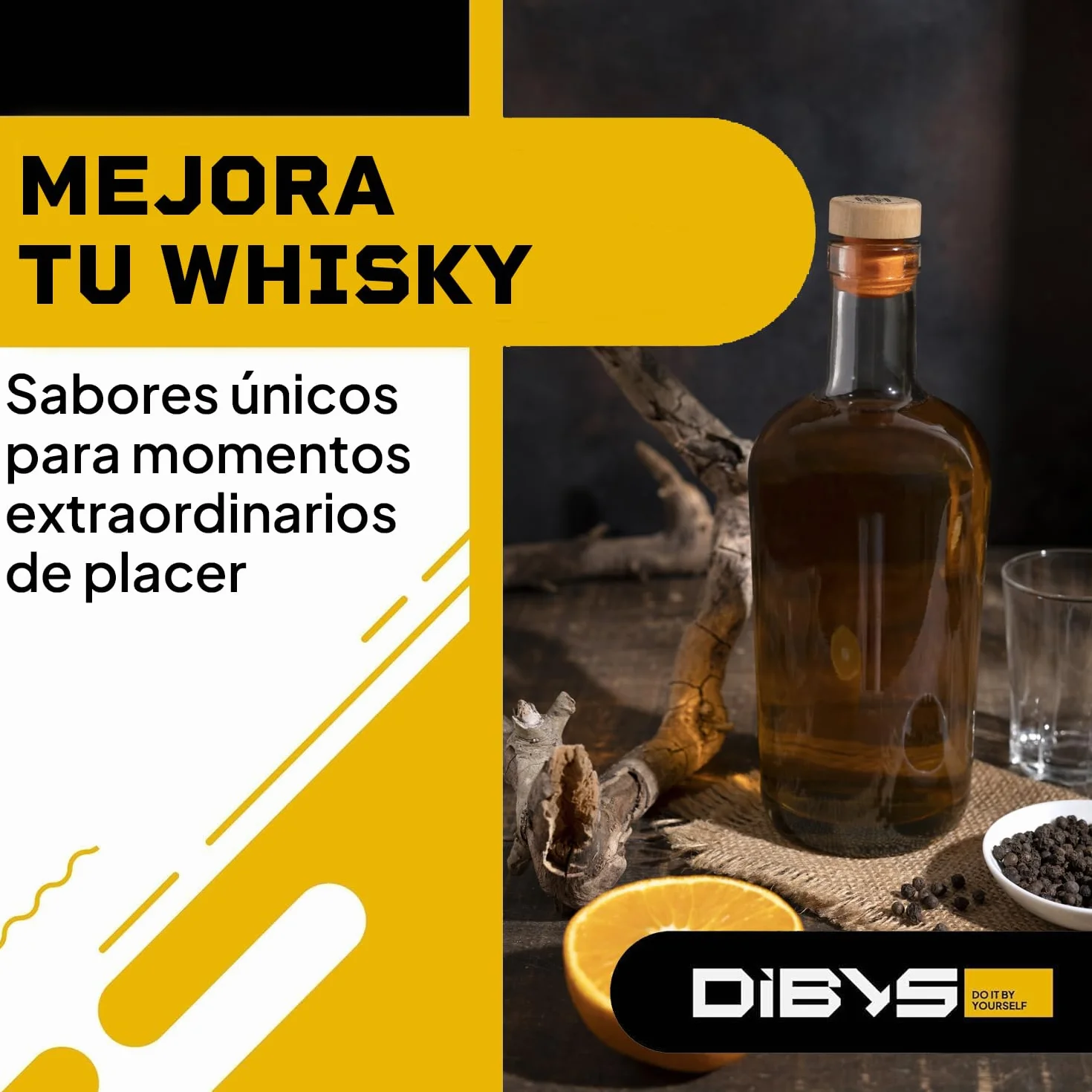 DIBYS Mini Kit Whisky para Regalar | 12 Especias para Cócteles | Con 4 Tarjetas de Recetas, Léxico y Elegante Caja | Set de Regalo para Hombres y Mujeres | Juego Hacer Whiskey Infusión en Casa