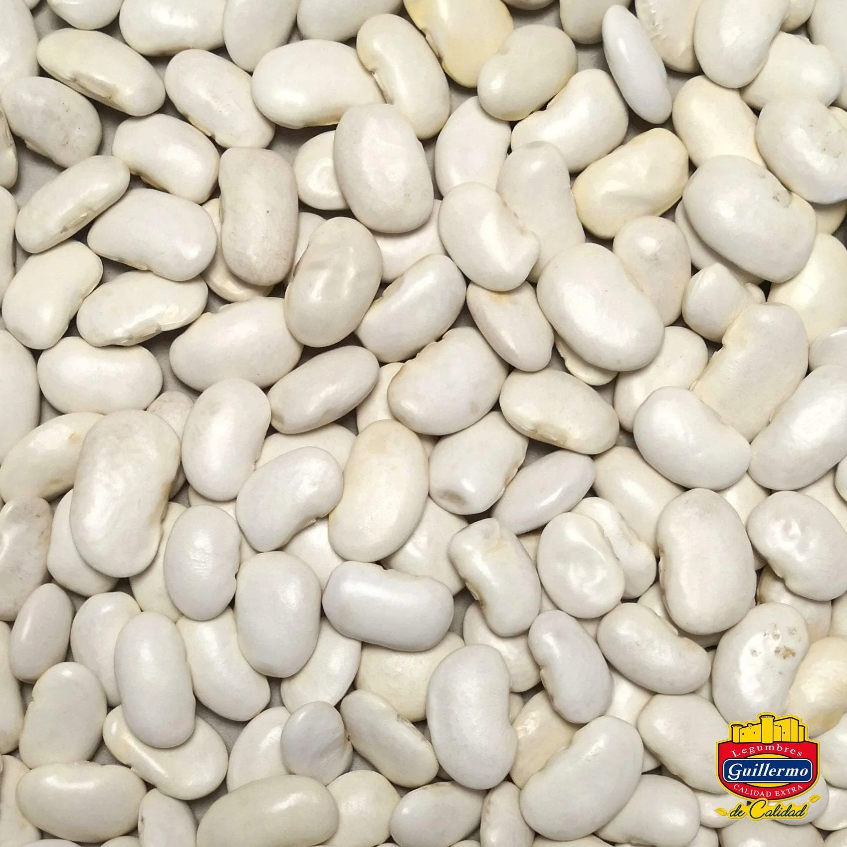 Guillermo | Judión - Saco 500g. | Gourmet | Calidad Extra | Alimento perfecto para dietas veganas y vegetarianas | Altas en fibra, vitaminas, minerales y contenido en proteínas