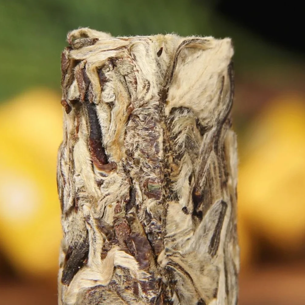 Té Blanco De Yunnan De Árbol Antiguo | Té Blanco Natural De Yunnan | Baihao Yinzhen Premium | Sin Aditivos (500G / 17,64 oz)