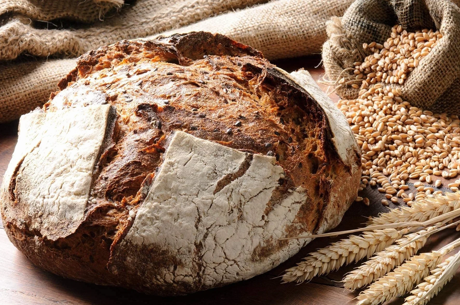 Levadura fresca biológica - Masa madre de harina de centeno Demeter - Levadura vegana - Contenido: 300 gramos