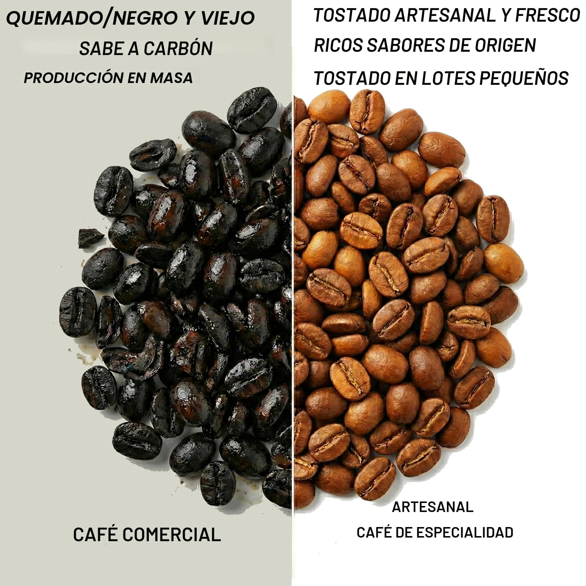 Freshest Specialty Coffee Beans | 80 CUP Roastery | Single Origin ~ Roasted After Order (1000g, Ethiopia Yirgacheffe)