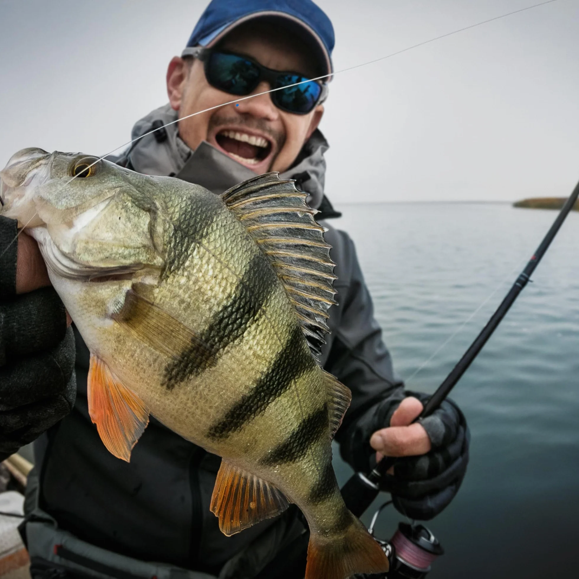 Plomos Pesca de Curricán 500g - Plomo Pesca Carpa - Carpfishing Accesorios - Fishing Kit Completo