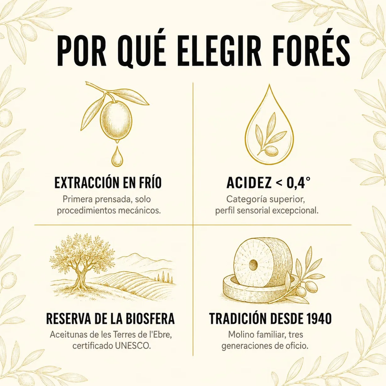 FORÉS | Aceite de Oliva Virgen Extra 5L | AOVE Gourmet Garrafa PET | Extracción en Frío | Sabor Frutado Verde con Amargor y Picante | Reserva de la Biosfera UNESCO Terres de l’Ebre