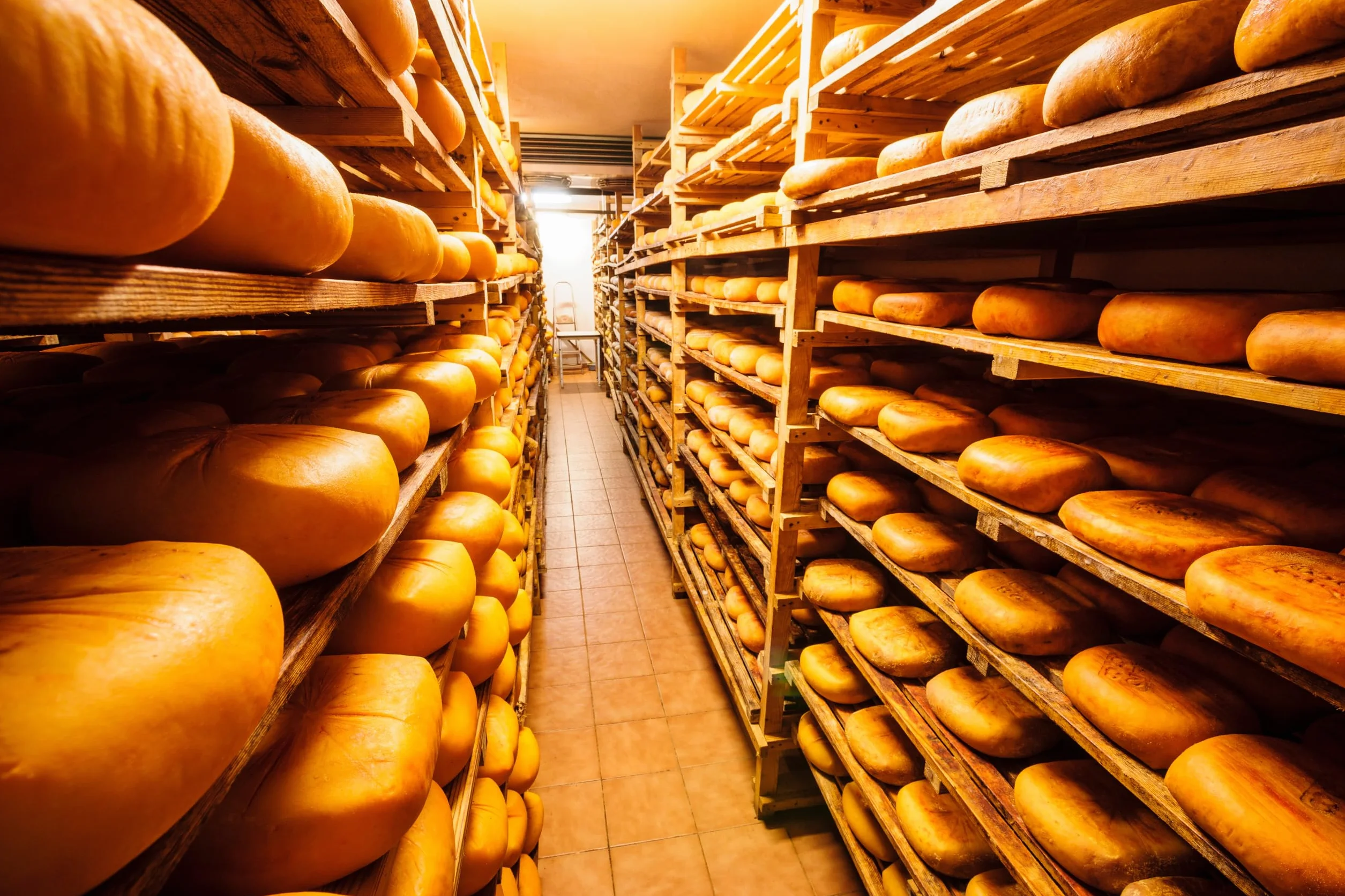 Queso Mahon Menorca DOP 400/500 g España - Sazonado - Lechería Producción Artesanal - Seleccionado por El Salumiero 1978