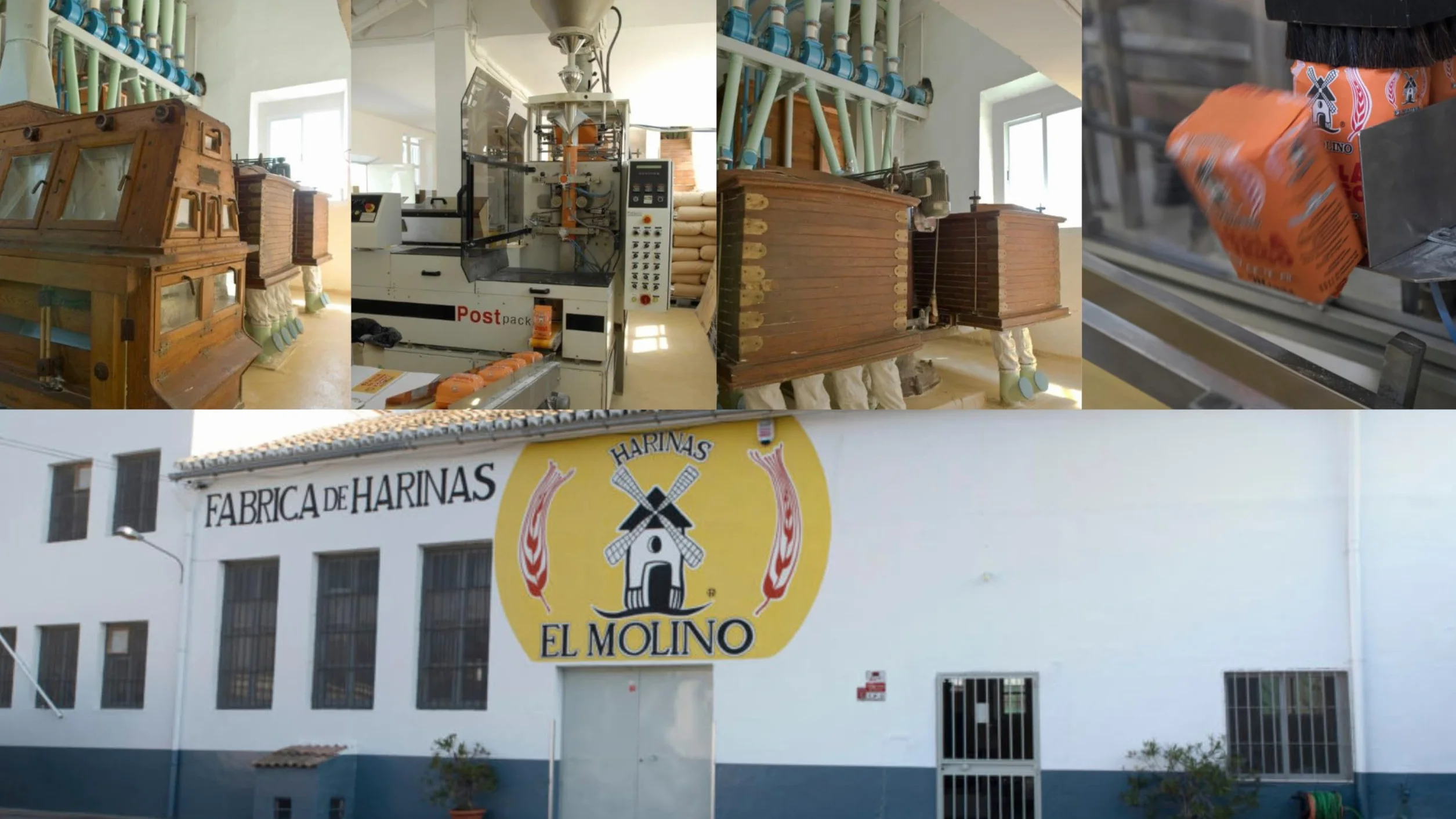 Harina Candeal de Trigo · El Molino Molida a Piedra · Bolsa 2Kg · Pan y Repostería