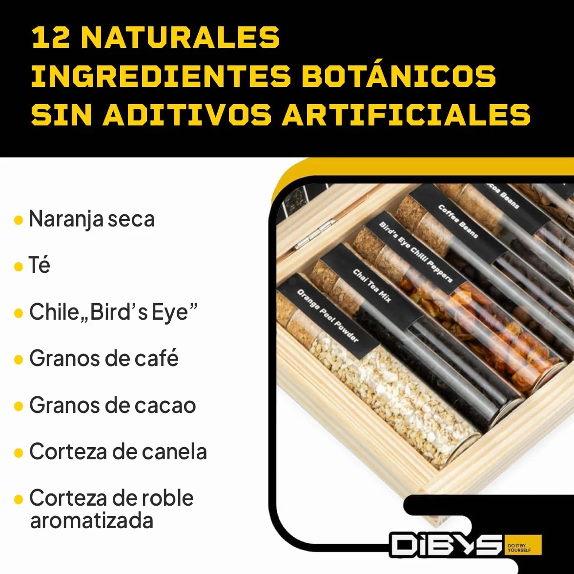 DIBYS Mini Kit Whisky para Regalar | 12 Especias para Cócteles | Con 4 Tarjetas de Recetas, Léxico y Elegante Caja | Set de Regalo para Hombres y Mujeres | Juego Hacer Whiskey Infusión en Casa
