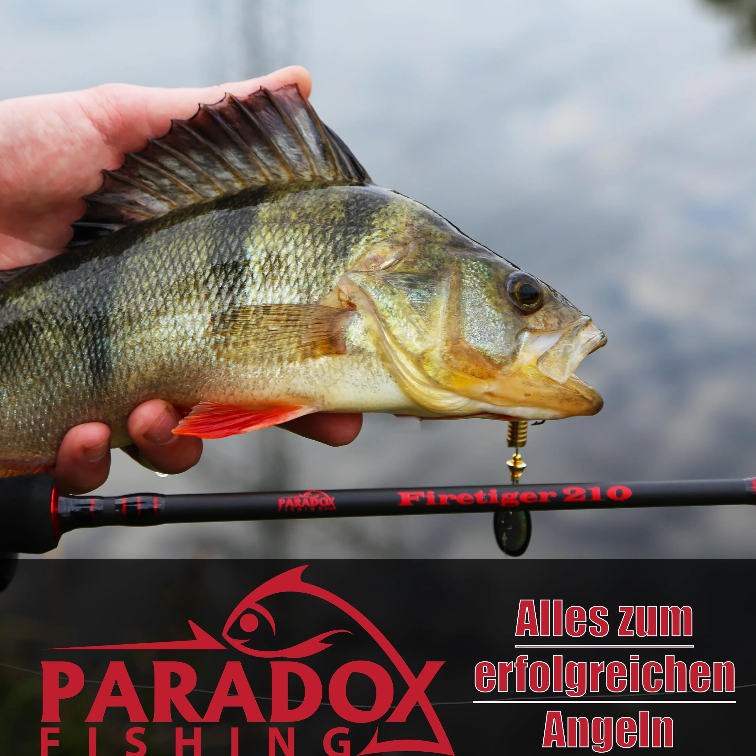 Paradox Fishing Red de pesca de goma telescópica 2,1 m
