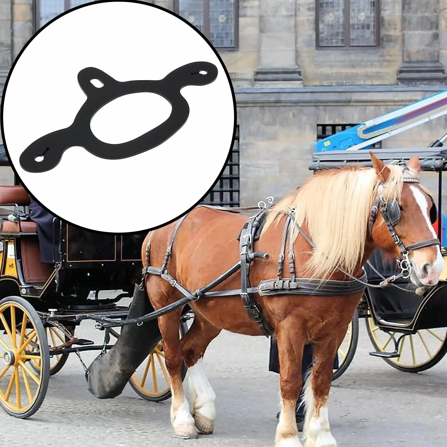 Correas de Goma para Espuelas de Amarre para Entrenamiento de Caballos