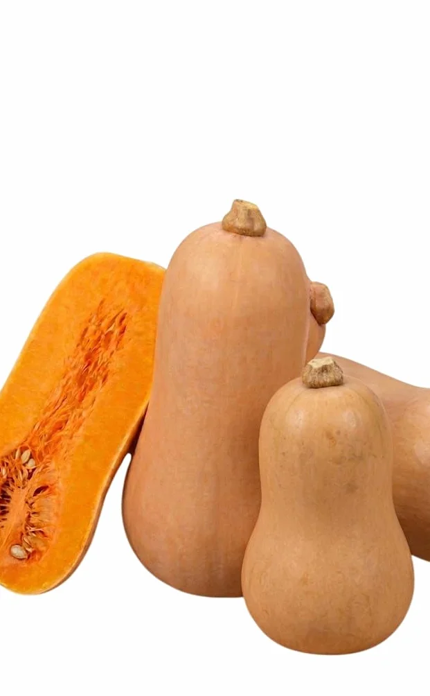 Desde Tu Terraza al Plato | DECOALIVE Semillas de Calabaza Cacahuete, Cultivo Fácil al Sol y Carne Suave para Recetas Caseras