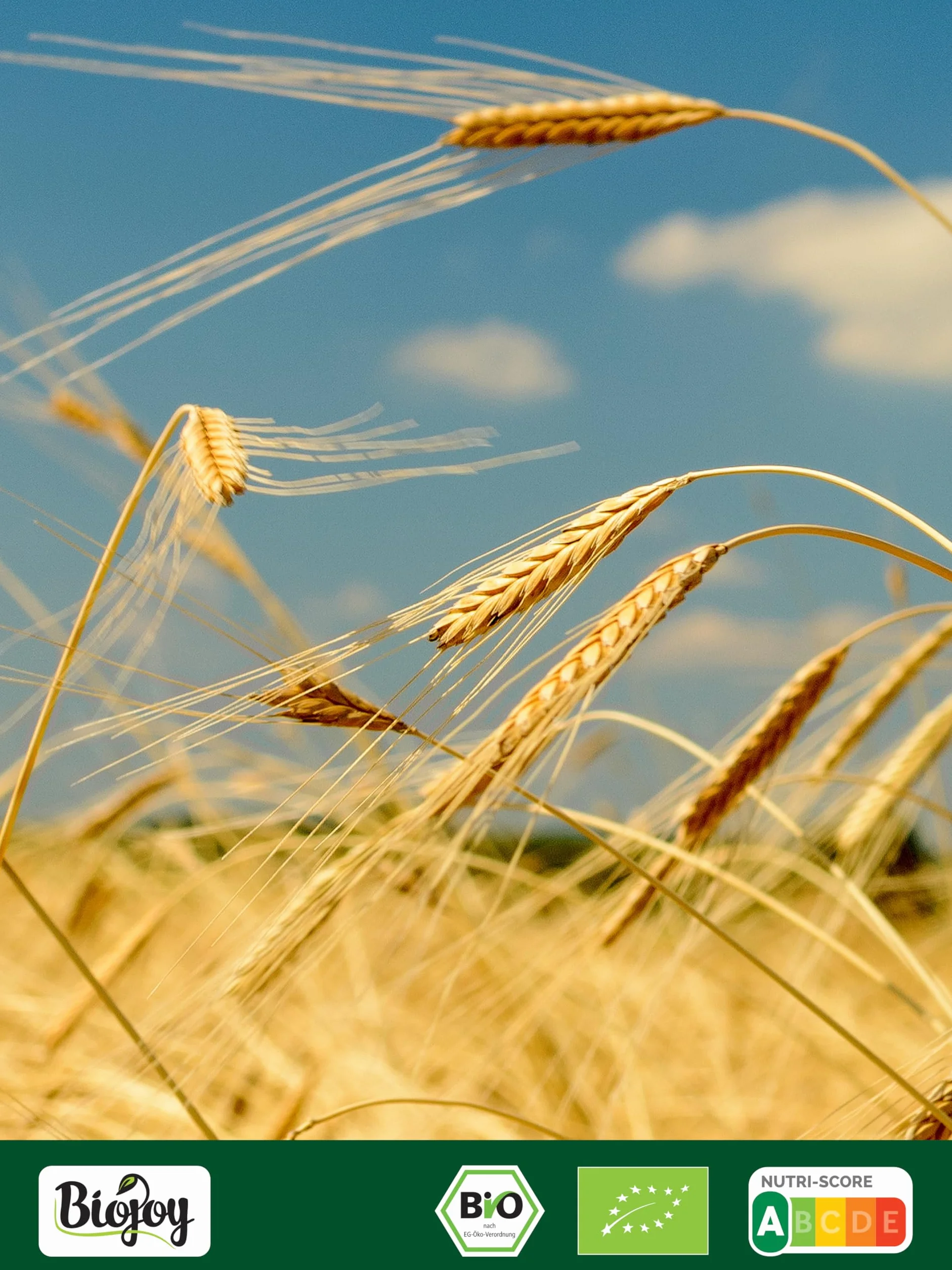 Biojoy Harina de Escanda Integral Ecológica (5 kg), Granos de Escanda molidas (Triticum monococcum)