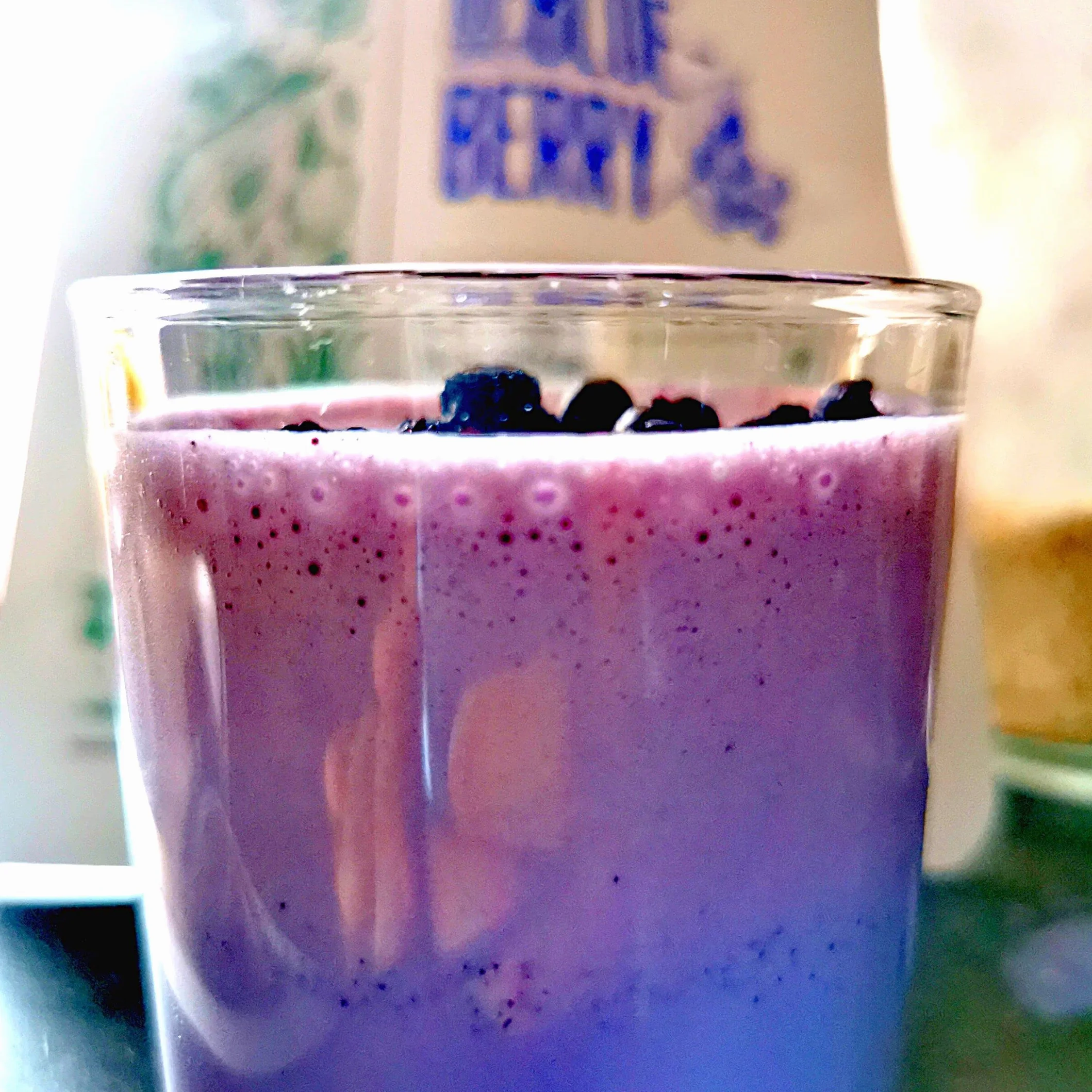 Arandanos Deshidratados Sin Azucar XL 500g Wild Blueberry Powder Freeze Dried Fruit ZingyZoo
