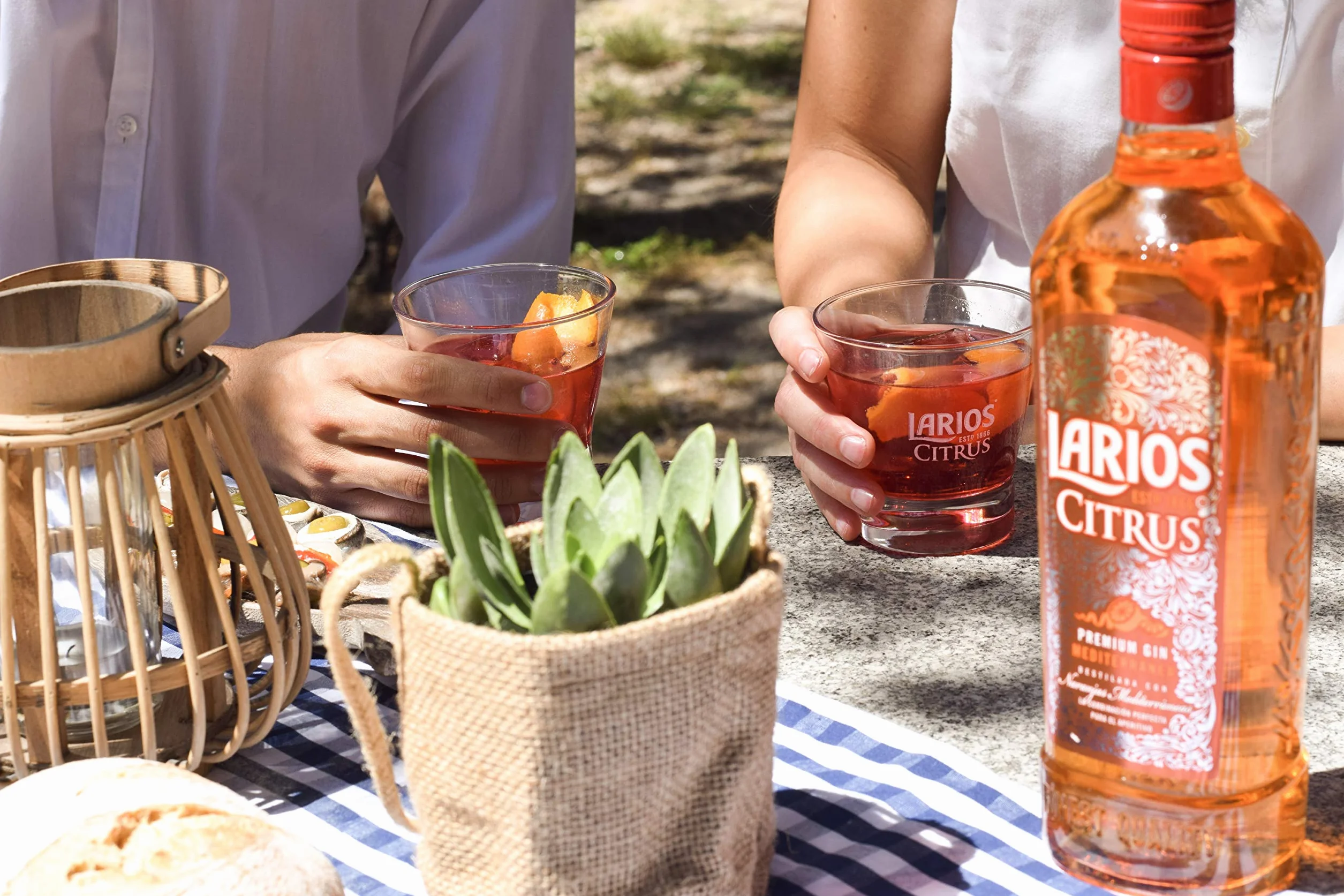LARIOS ginebra citrus botella 70 cl