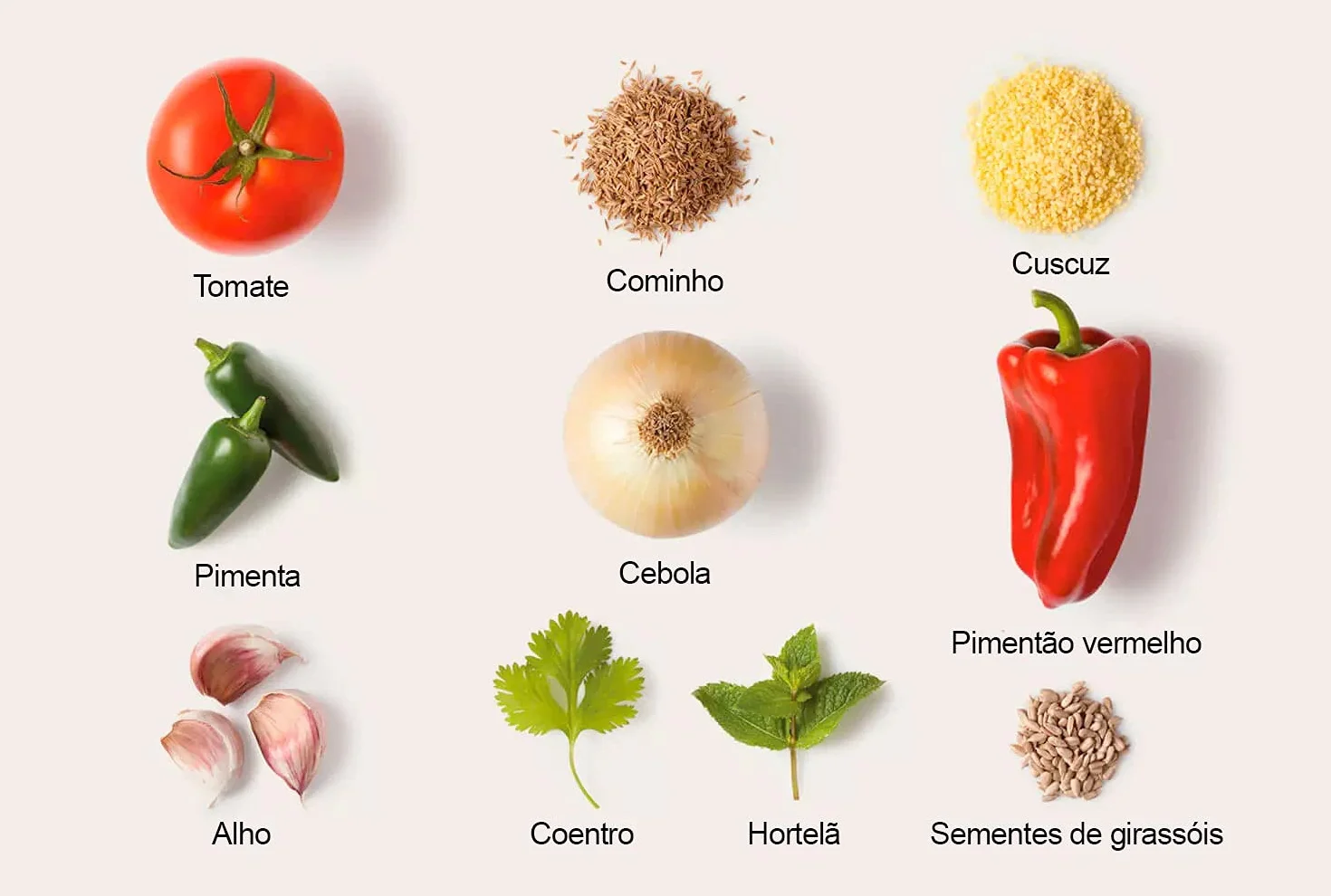 Trevijano Cuscús Marroqui con verduras 1 paquete - 10 oz | Vegano | Sin sal añadida - Sin aditivos Vegetales deshidratados | precocidos | sin OMG