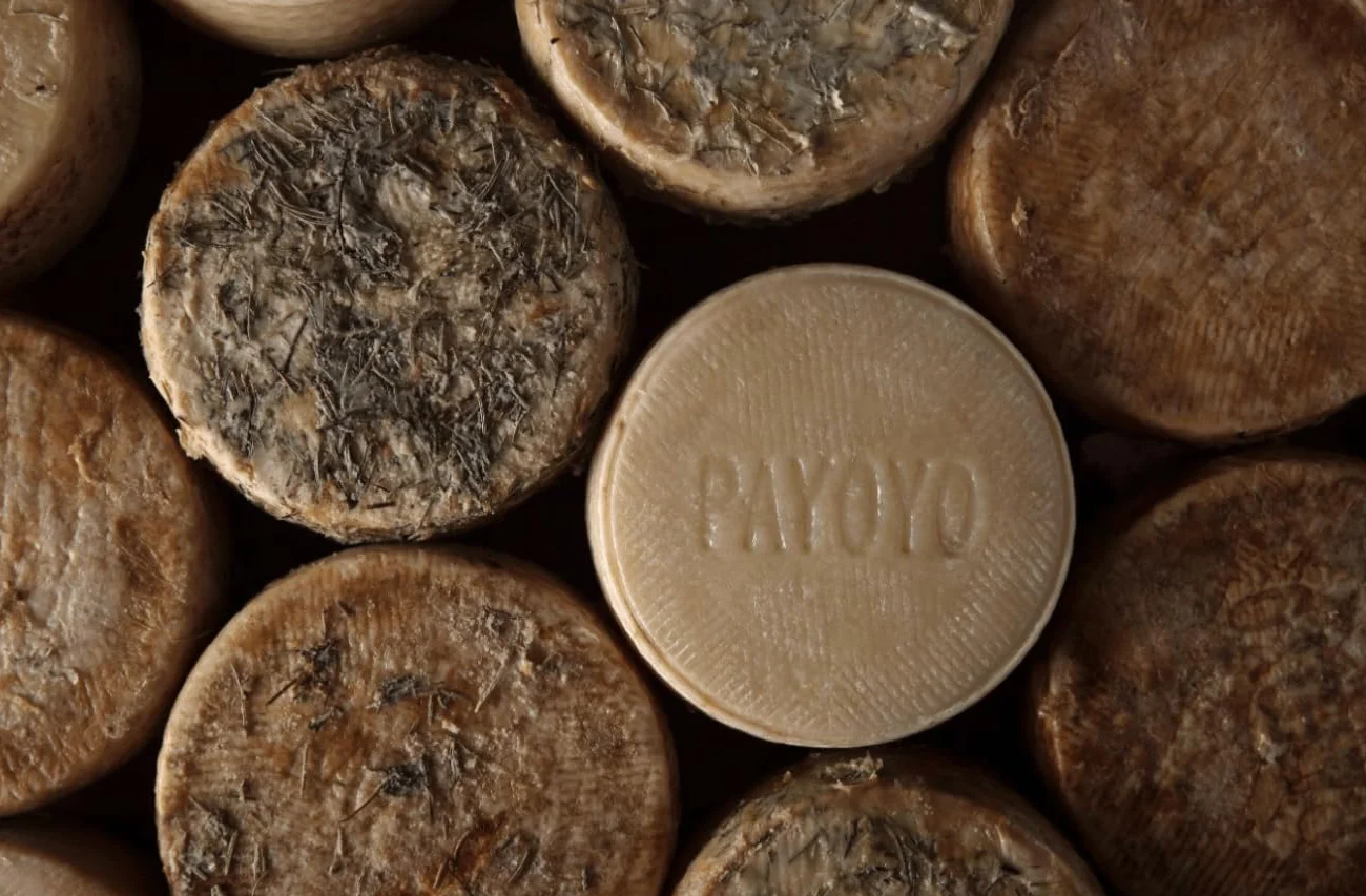 Queso Artesano de Cabra Payoya Curado 1,8-2 kg